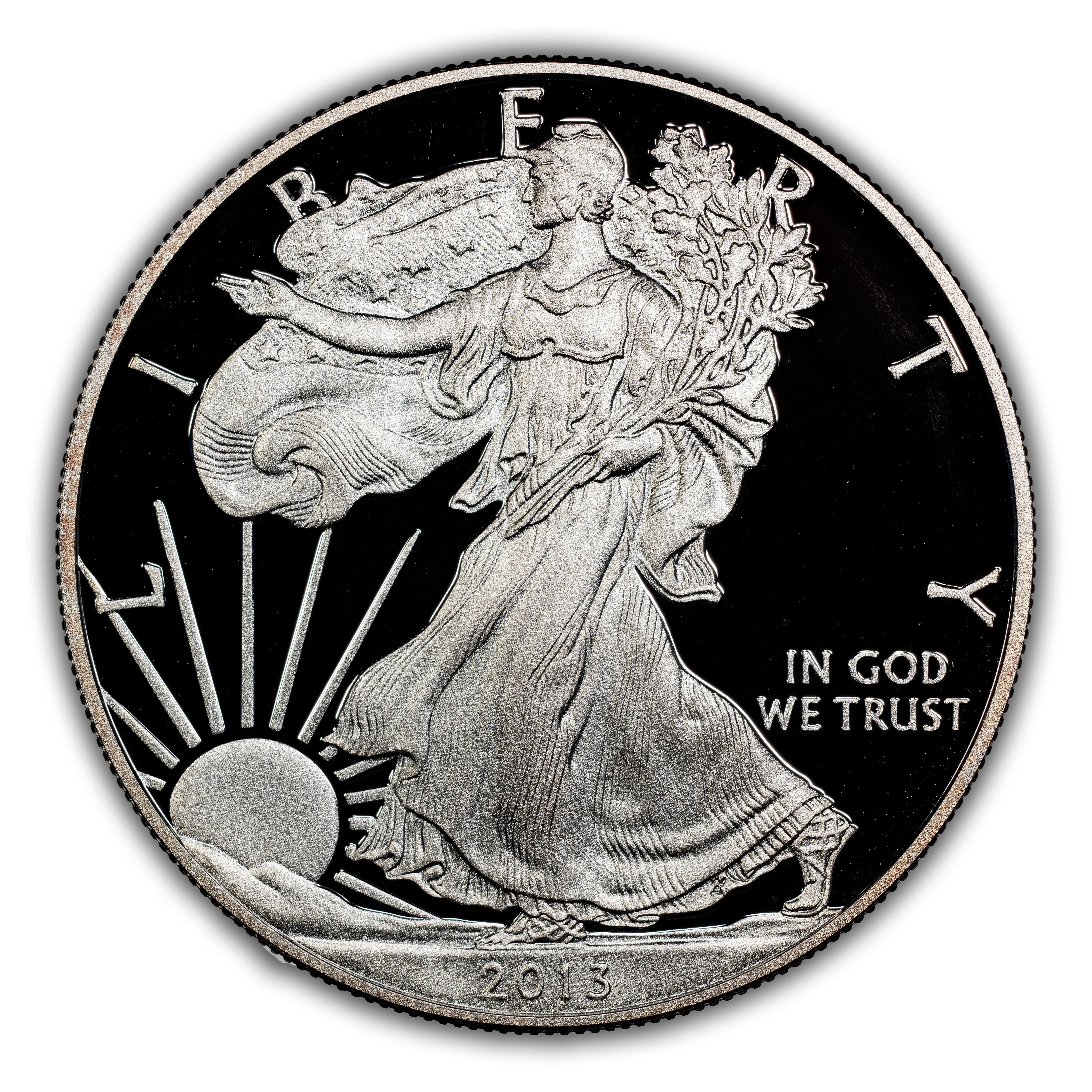 2013-W $1 Silver Eagle PR DCAM