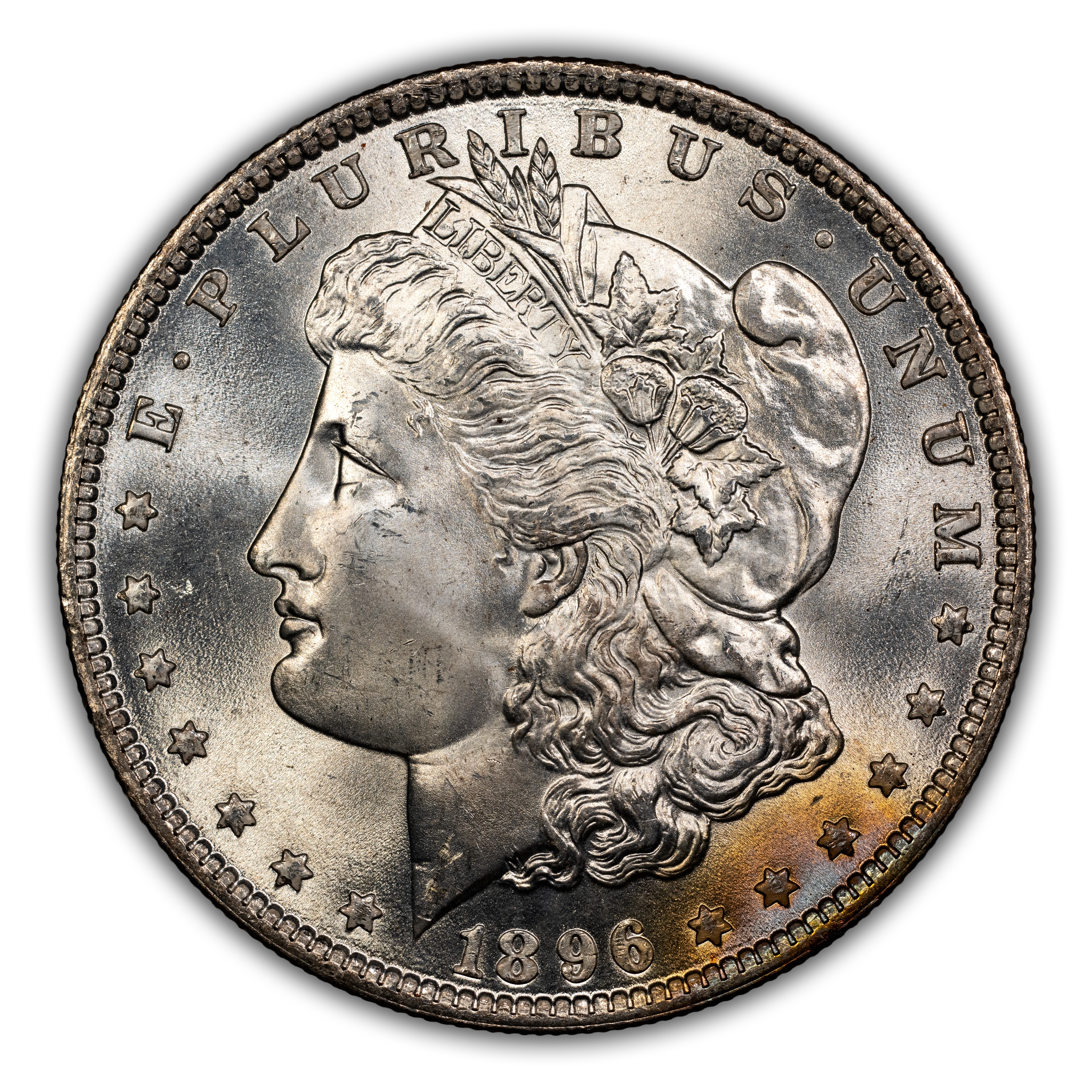 1896 $1 MS