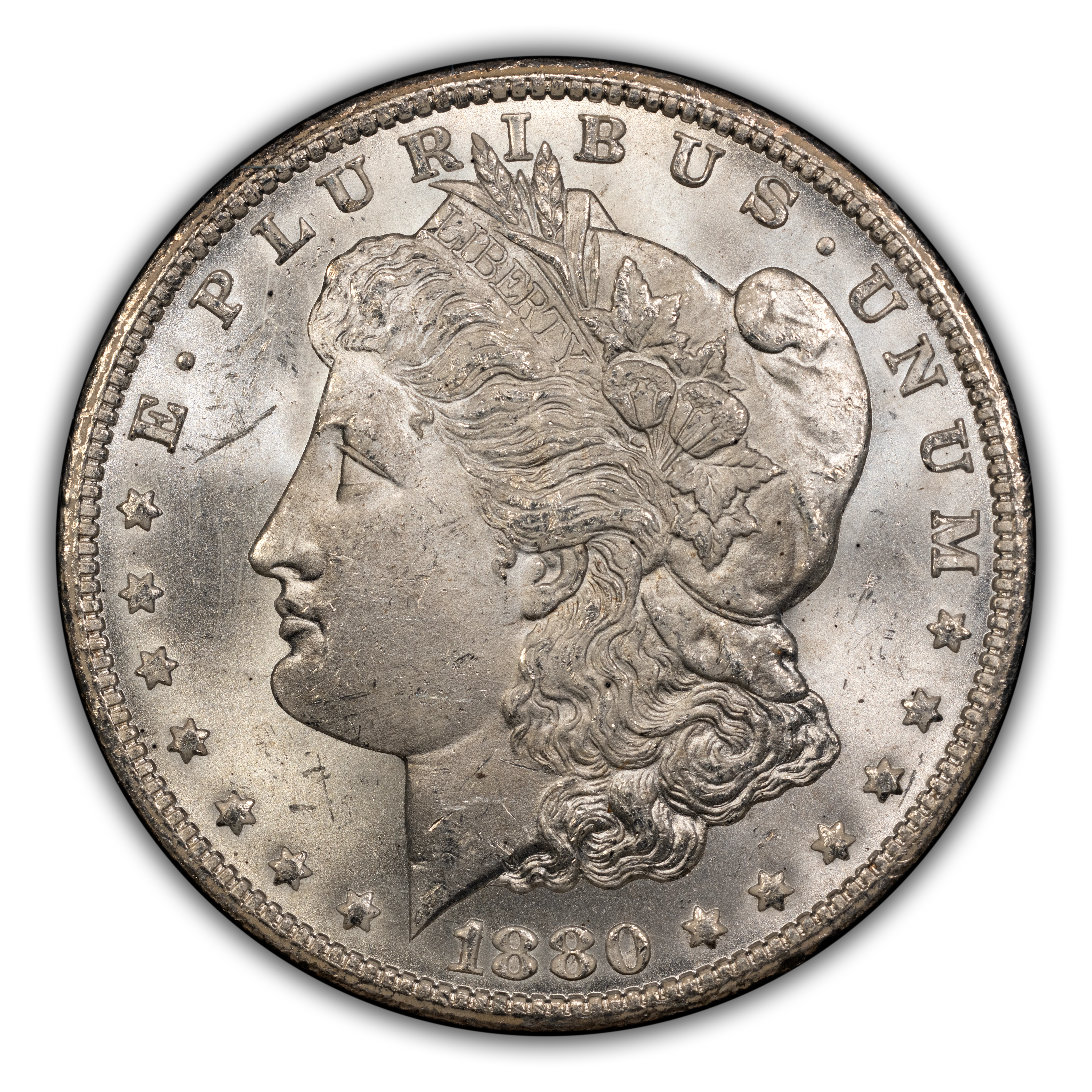 1880/79-CC $1  Reverse of 1878, GSA Hoard, Hard package MS thumbnail 10