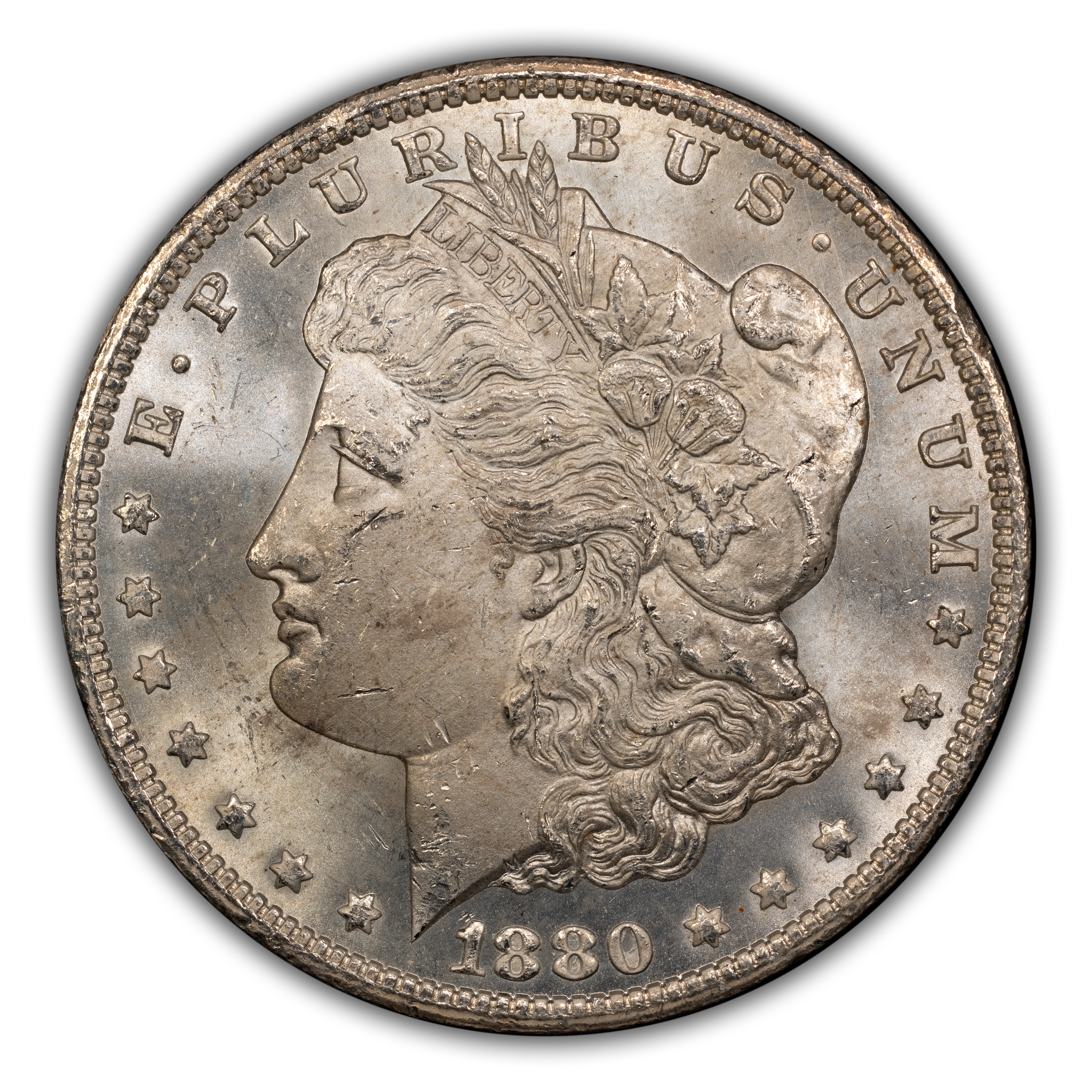 1880/79-CC $1  Reverse of 1878, GSA Hoard, Hard package MS thumbnail 12