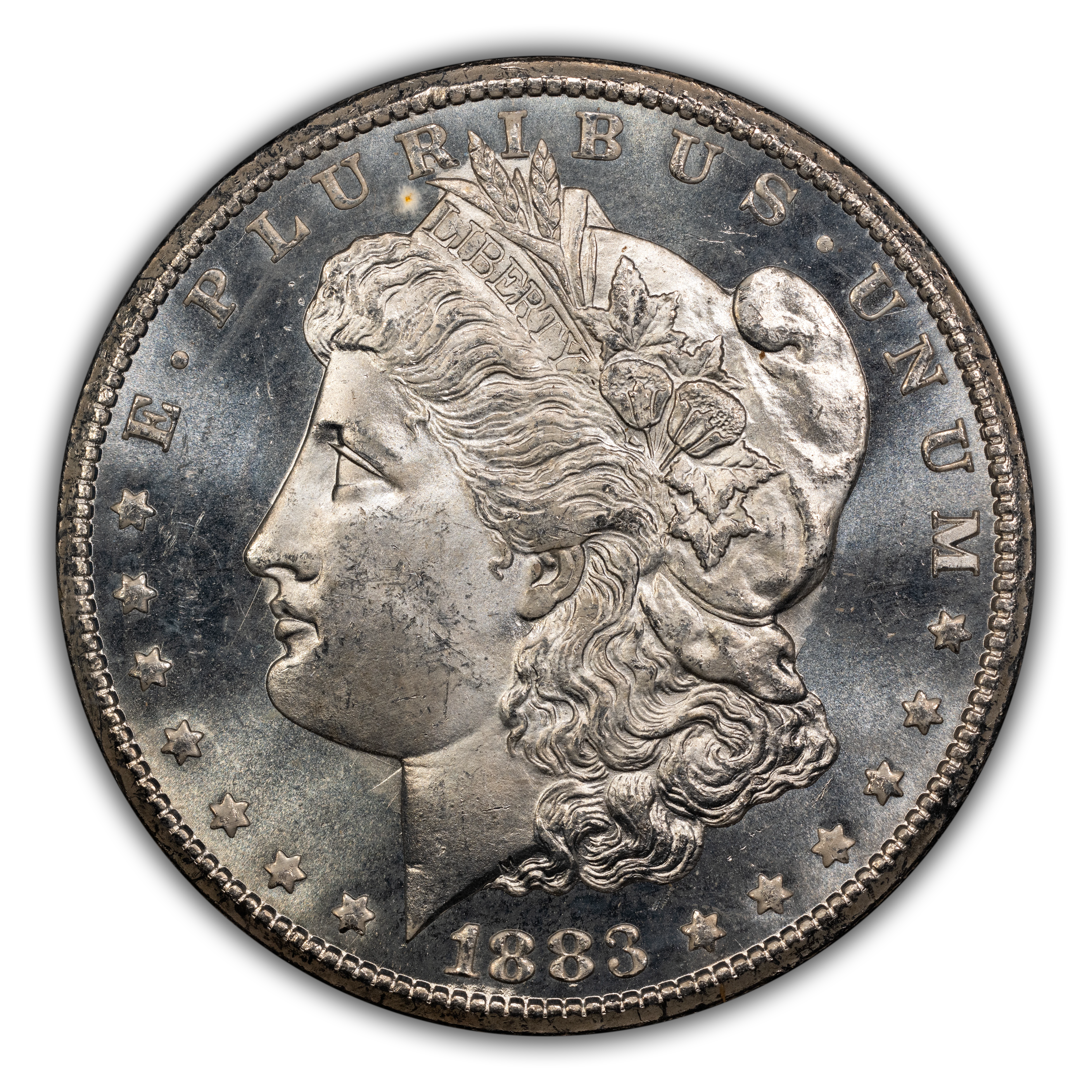 1883-CC $1 GSA Hoard, Hard package MS PL