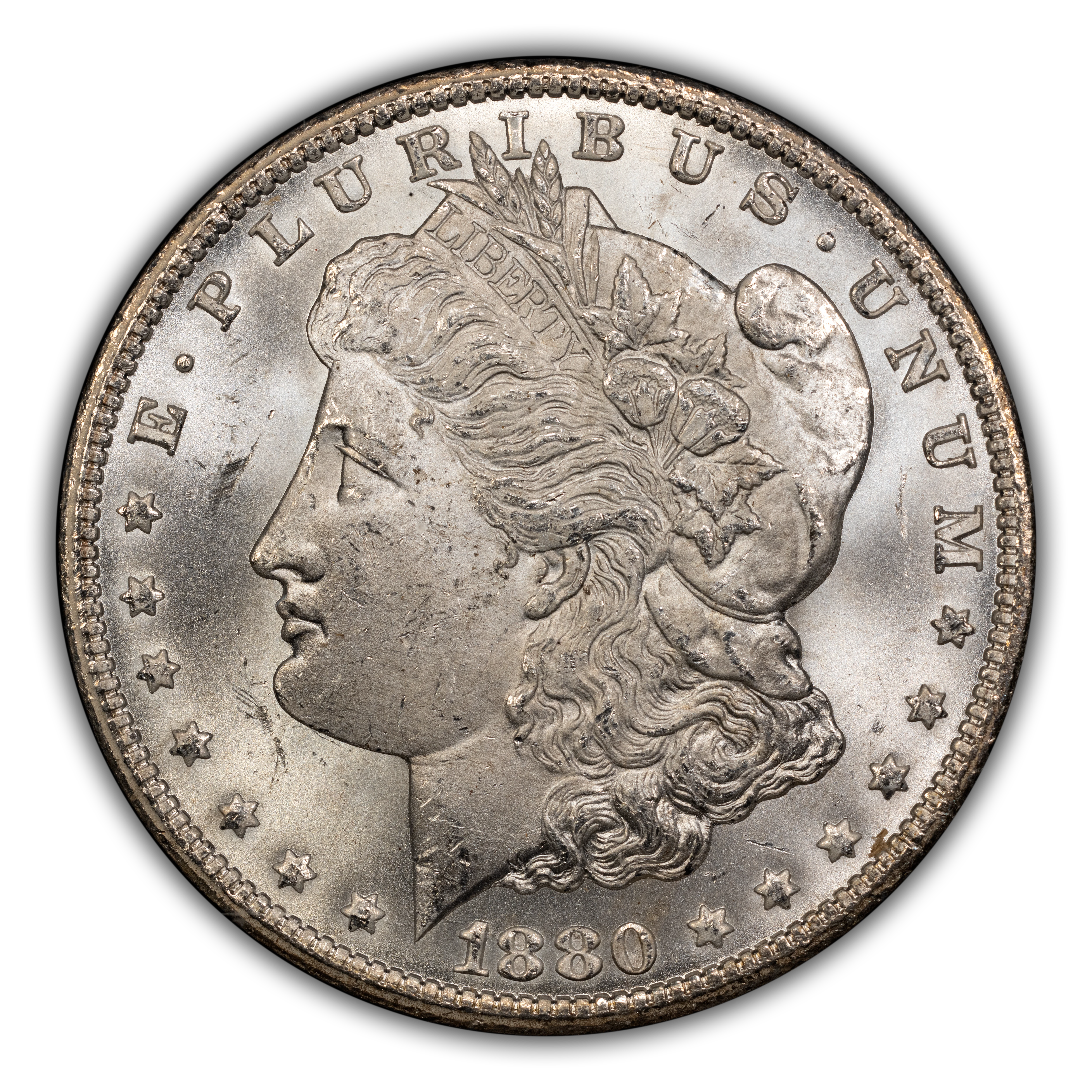 1880/79-CC $1  Reverse of 1878, GSA Hoard, Hard package MS thumbnail 14