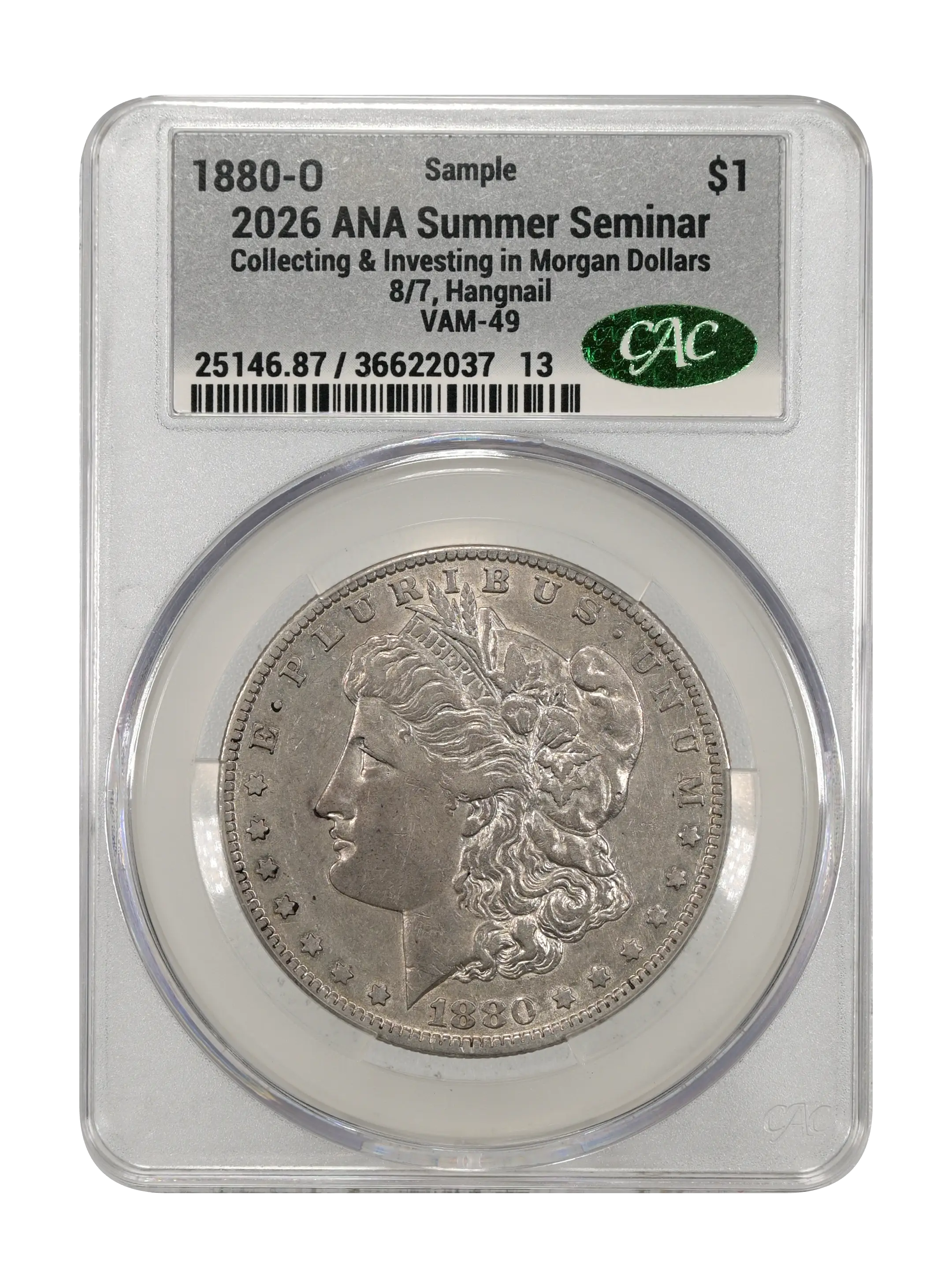 1880-O $1  8/7, Hangnail, VAM-49  MS thumbnail 17