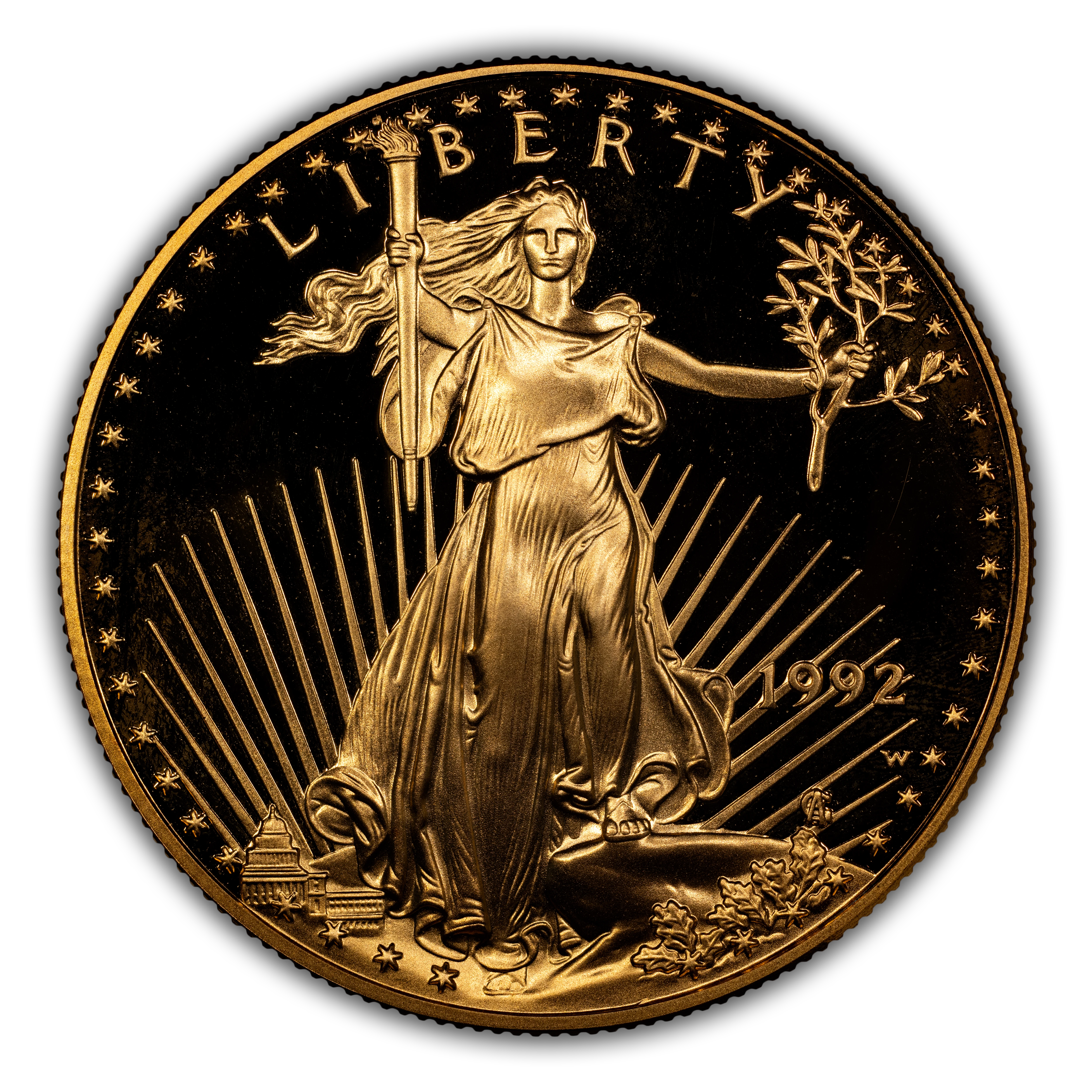 1992-W G$50 Gold Eagle PR DCAM