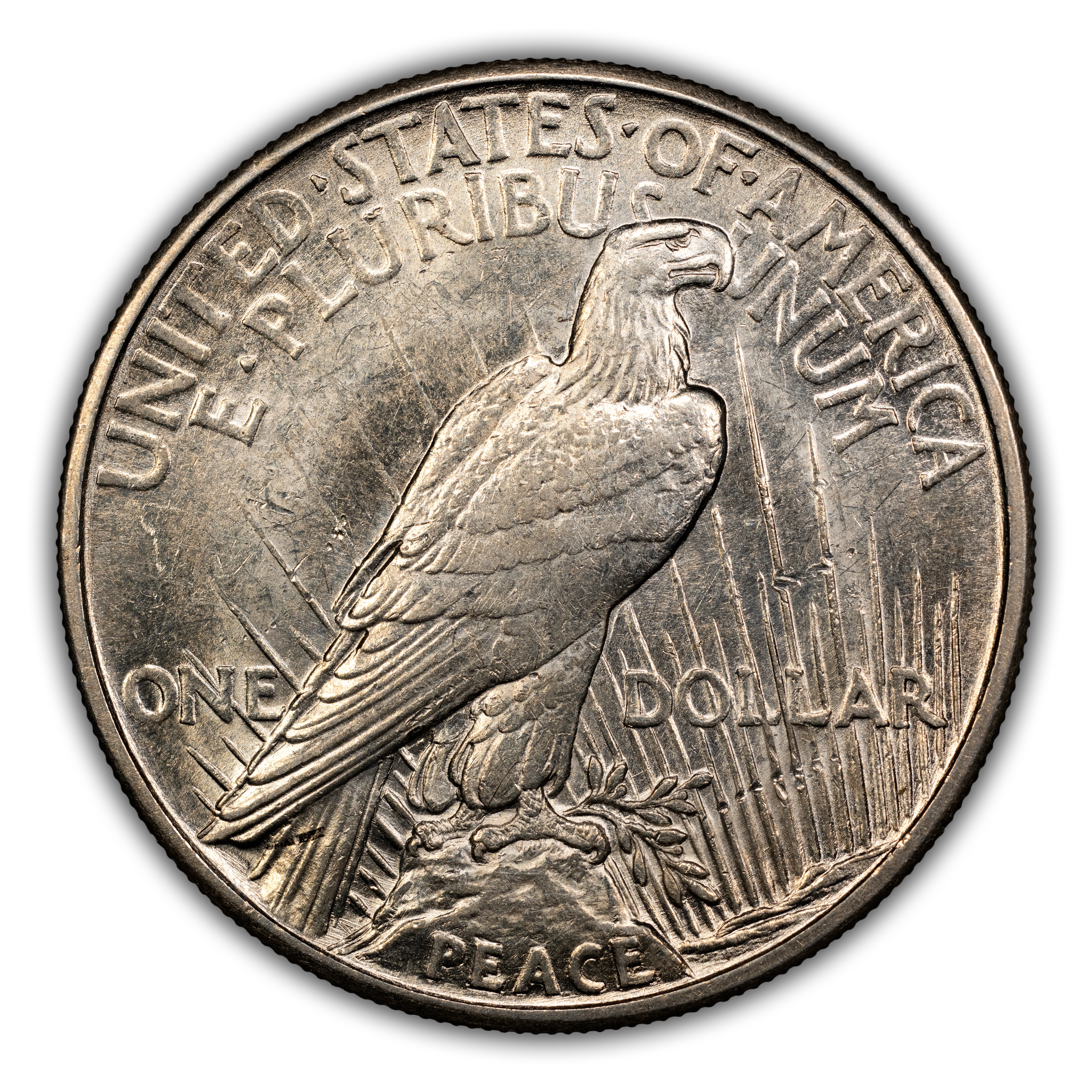 1921 $1  Peace, Line Thru L, VAM-3 MS thumbnail 10