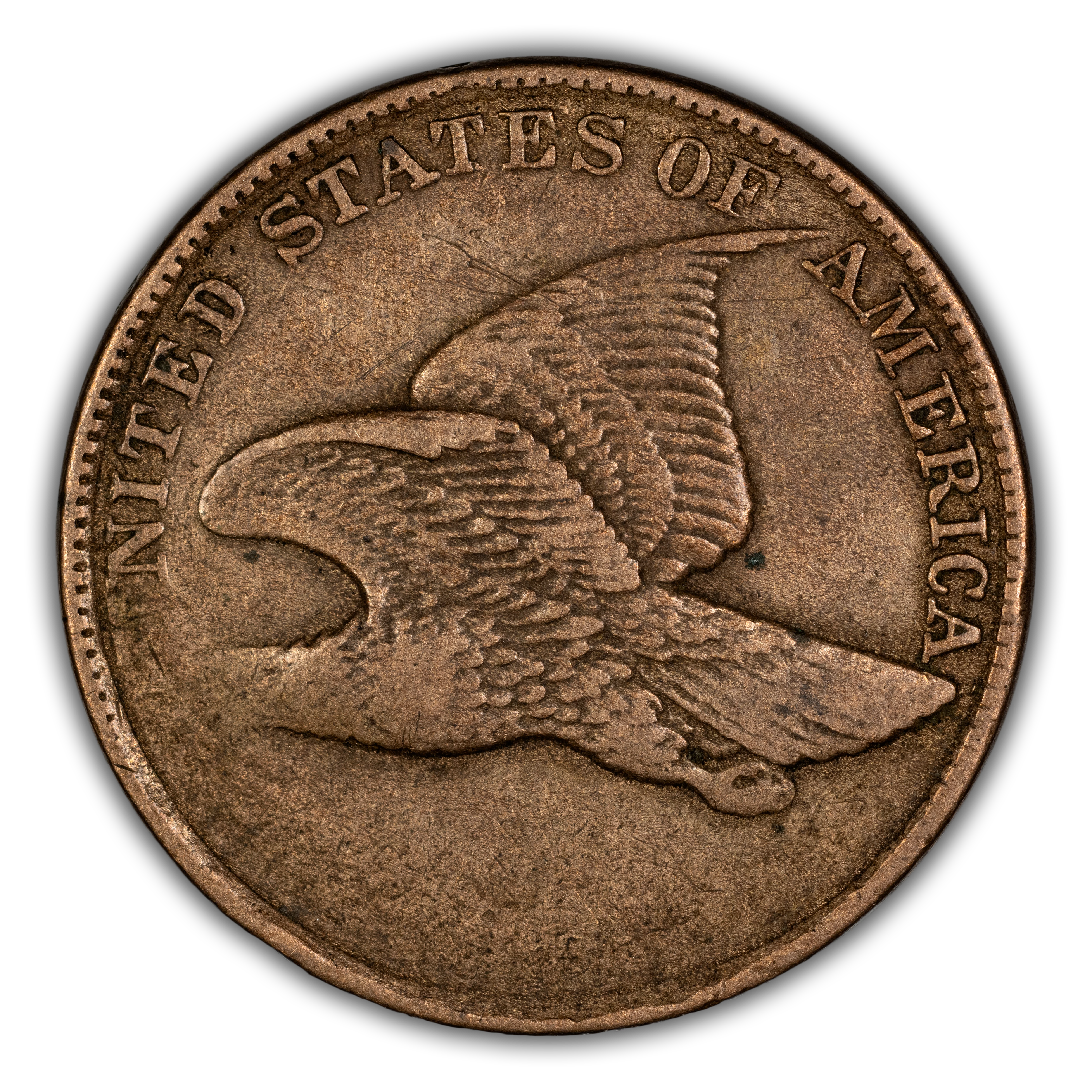 Flying Eagle Cent 1c 1856-1858 MS [Type]