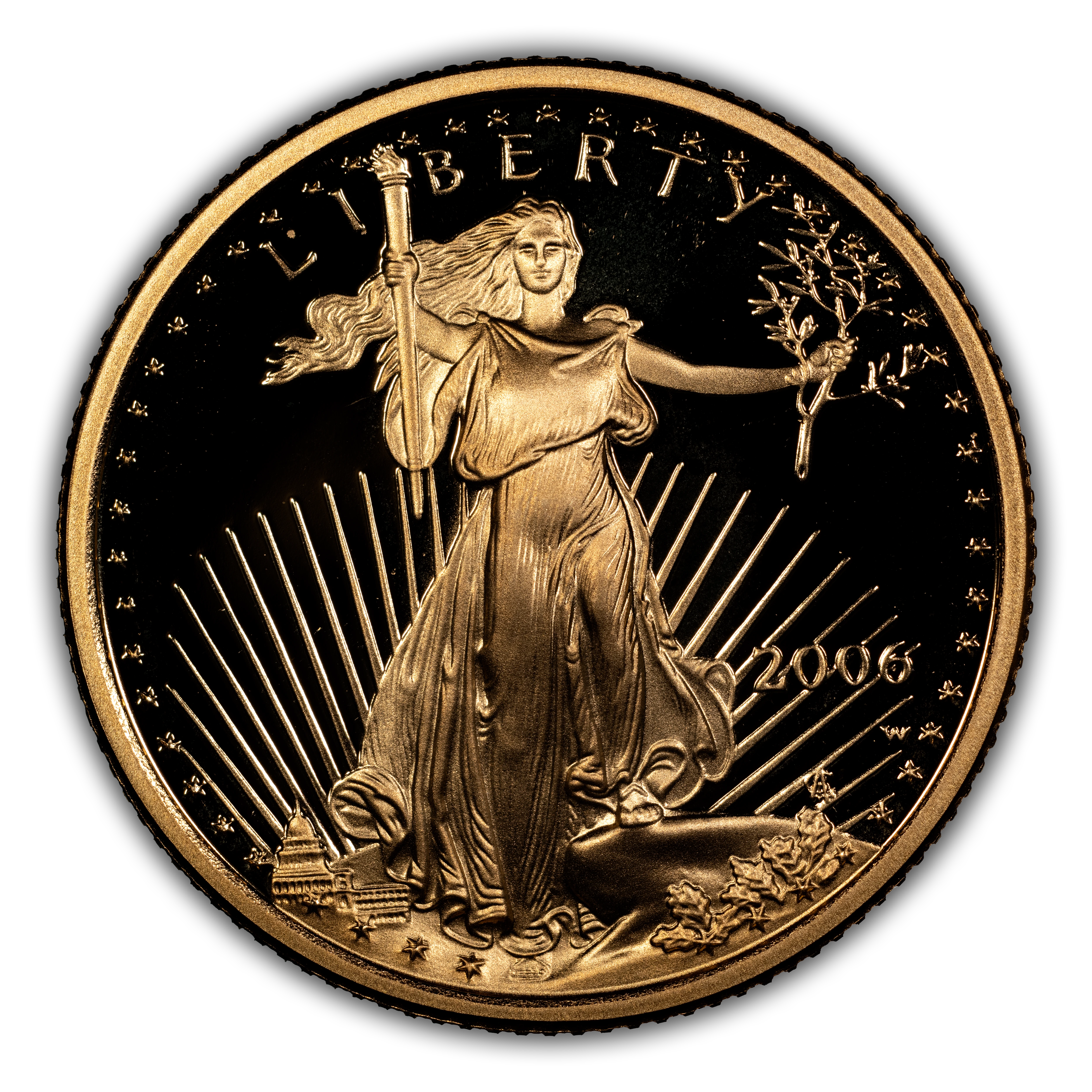 2006-W $10 Gold Eagle PR DCAM