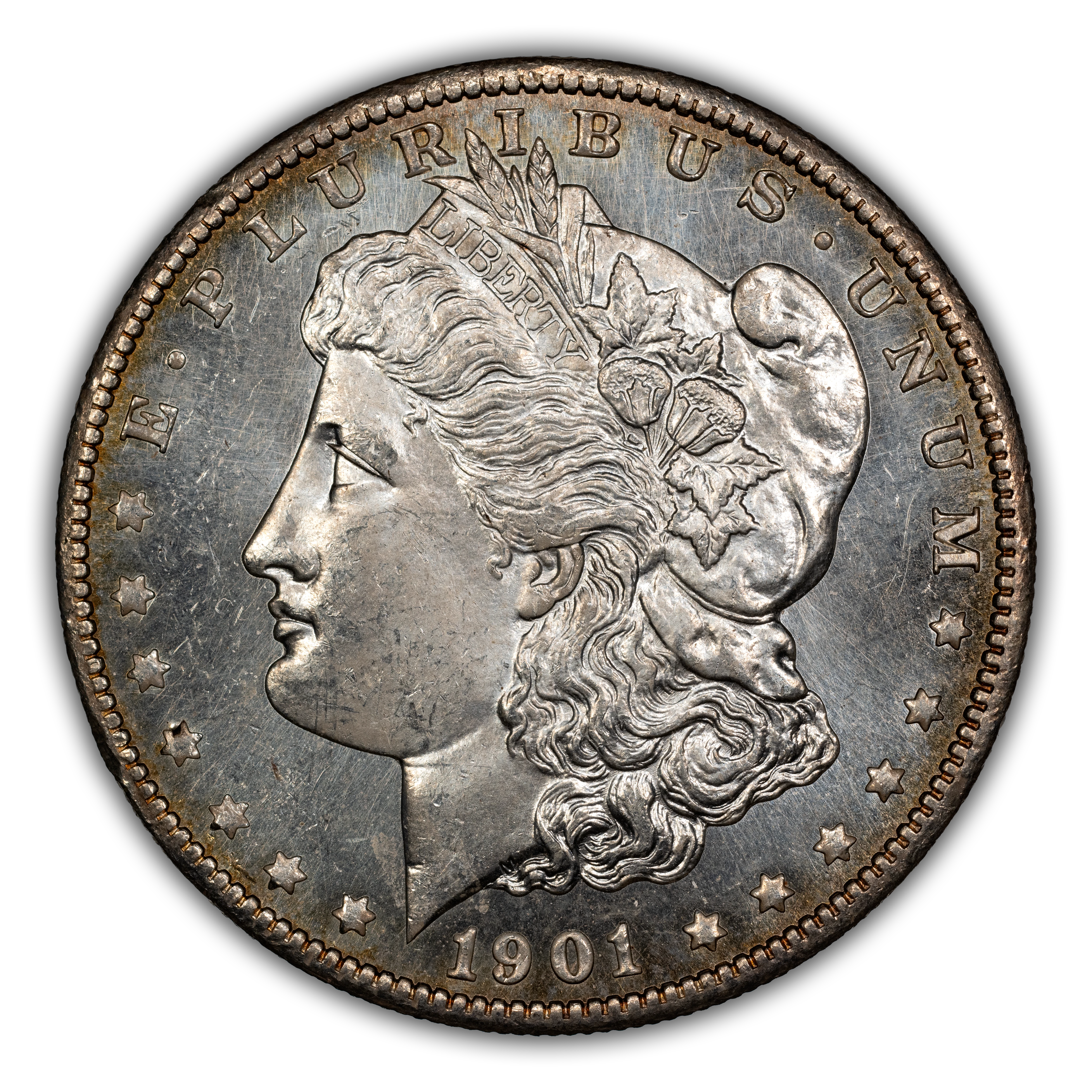 1901-O $1  MS PL thumbnail 2