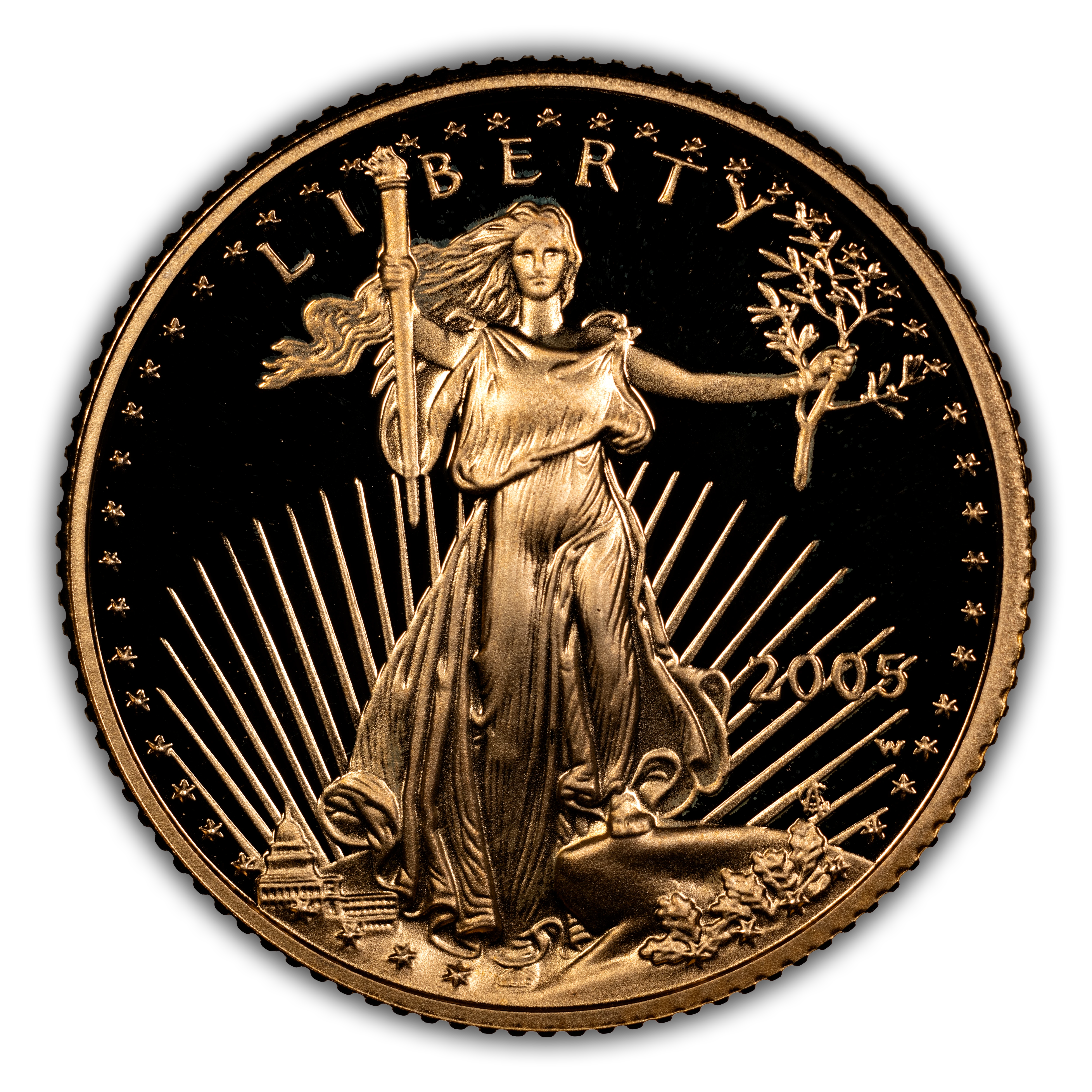 2005-W $5 Gold Eagle PR DCAM