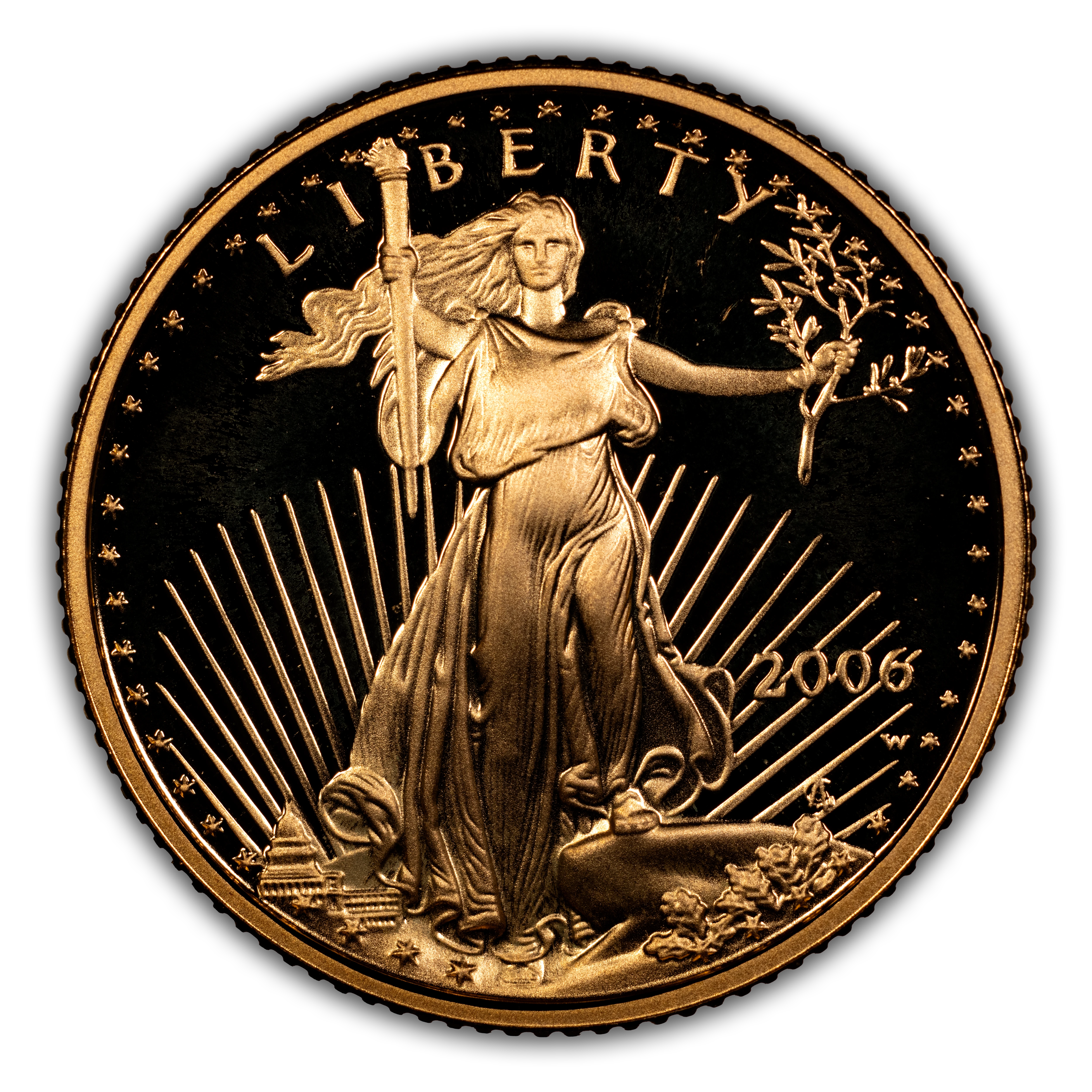2006-W $5 Gold Eagle PR DCAM