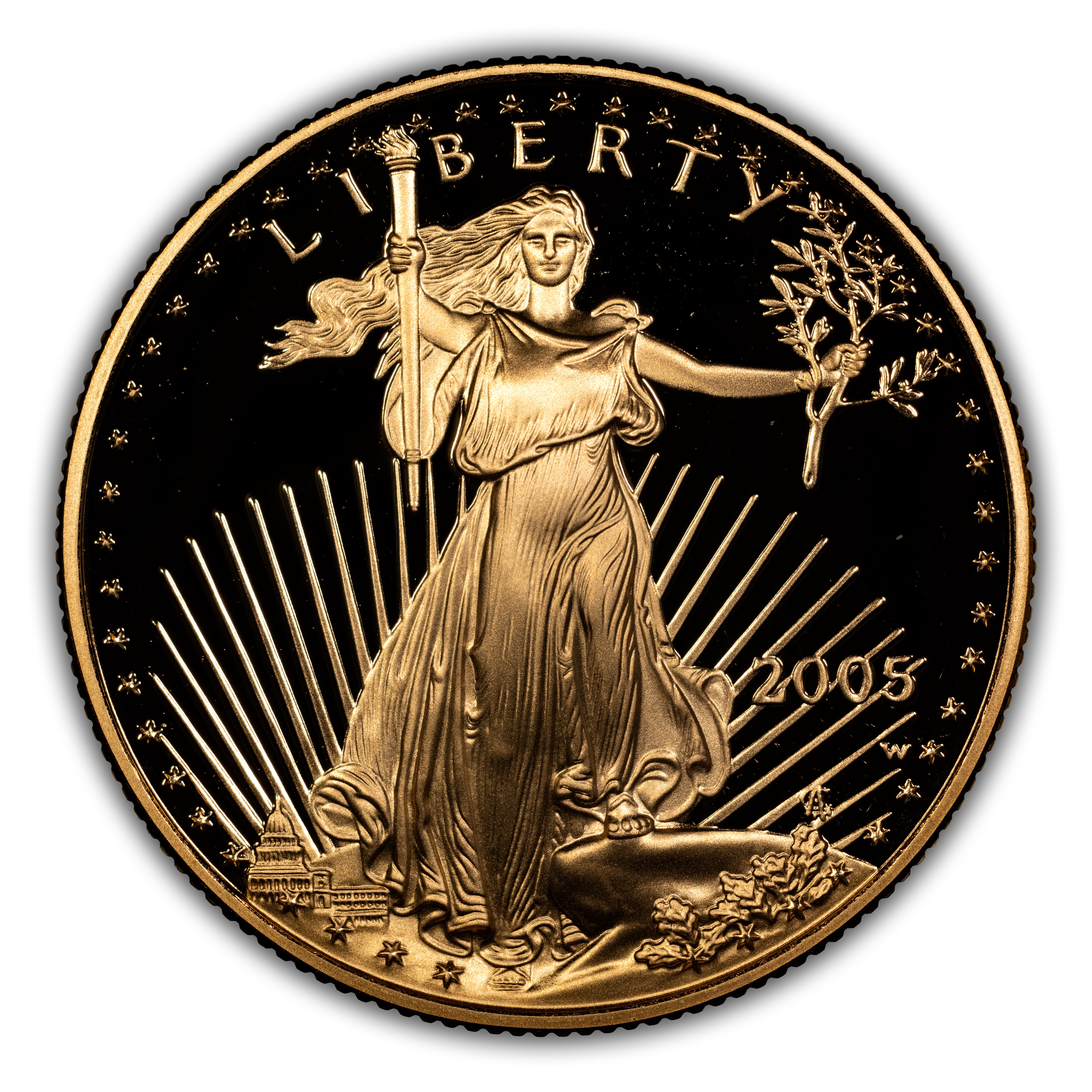 2005-W $25 Gold Eagle PR DCAM