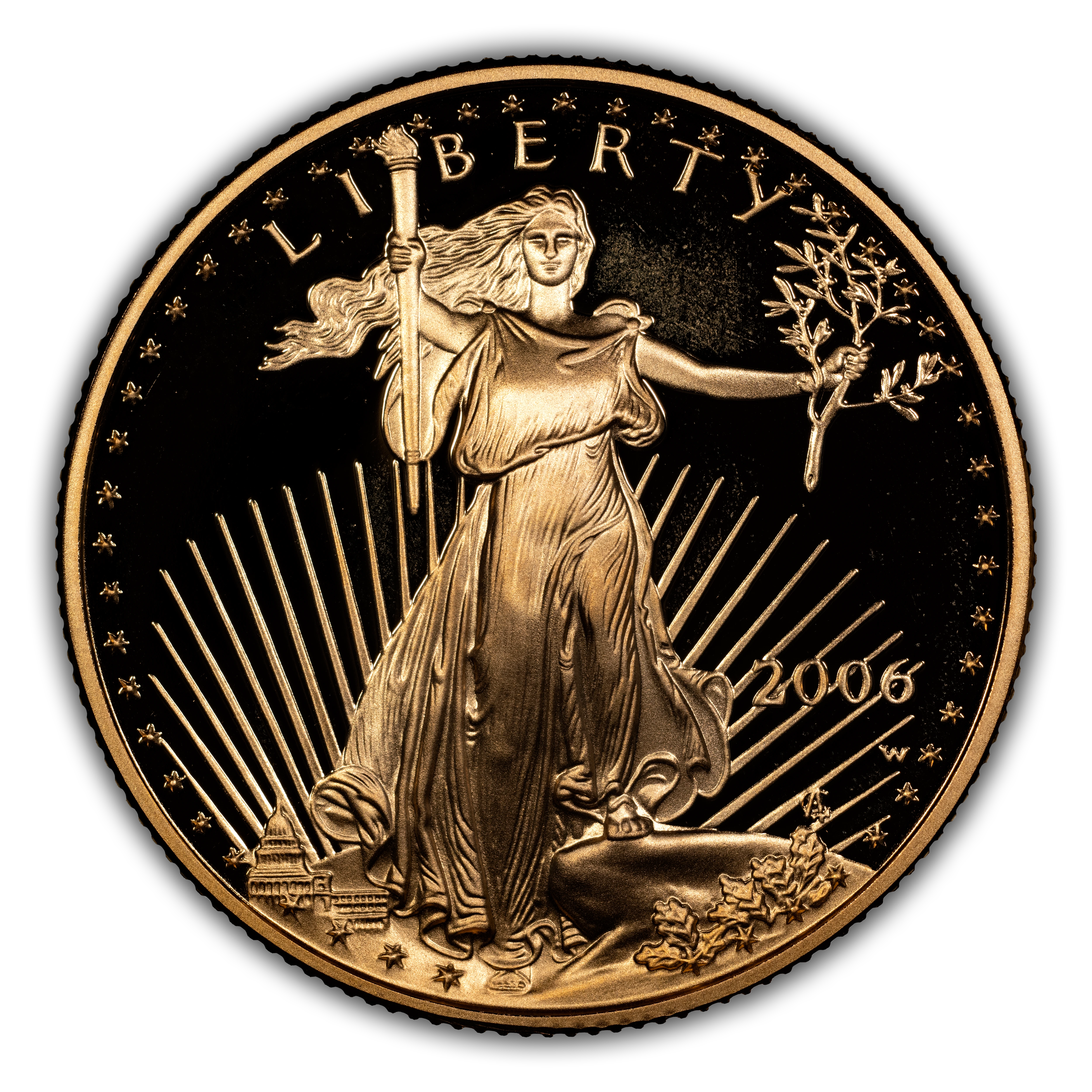 2006-W $25 Gold Eagle PR DCAM