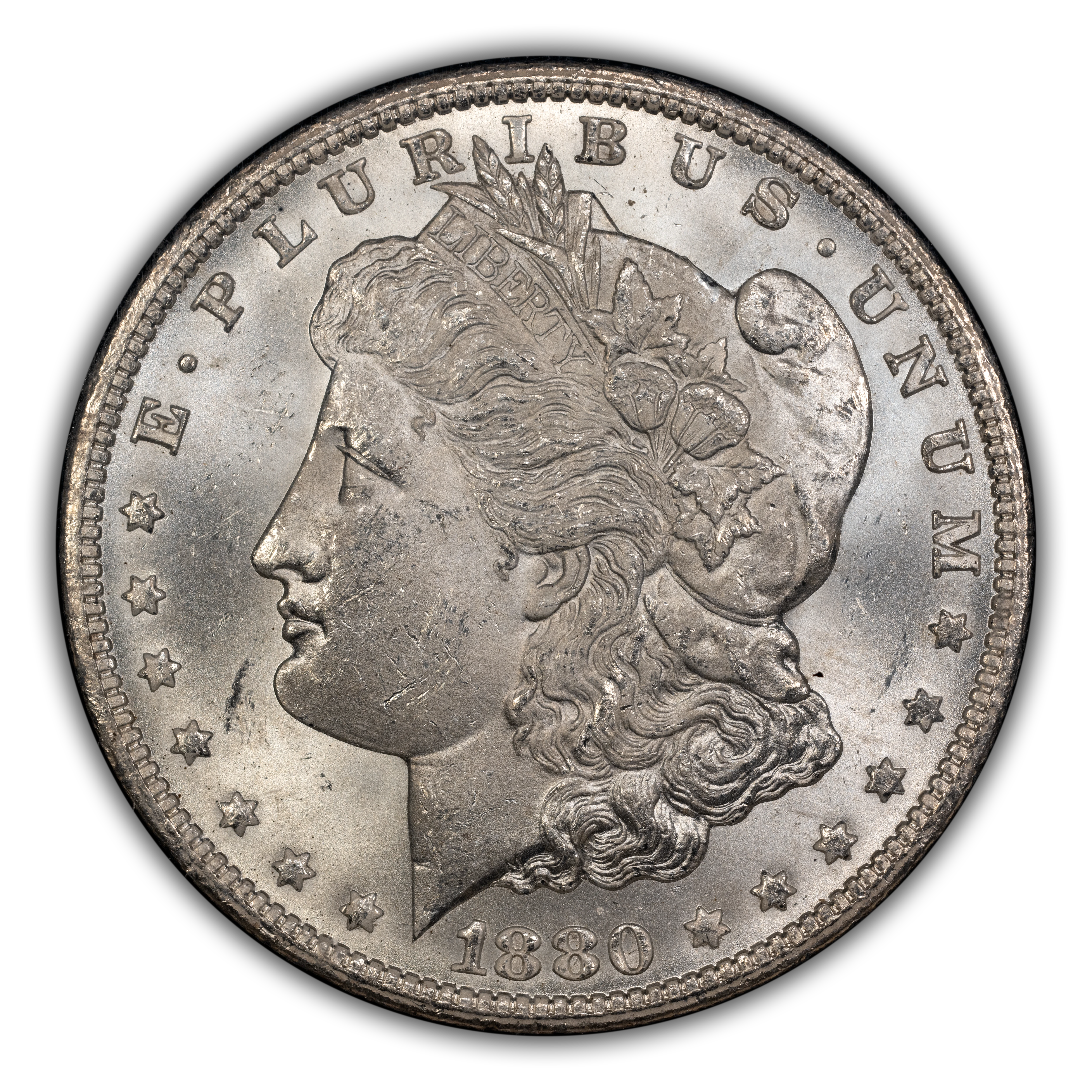 1880/79-CC $1  Reverse of 1878, GSA Hoard, Hard package MS thumbnail 6