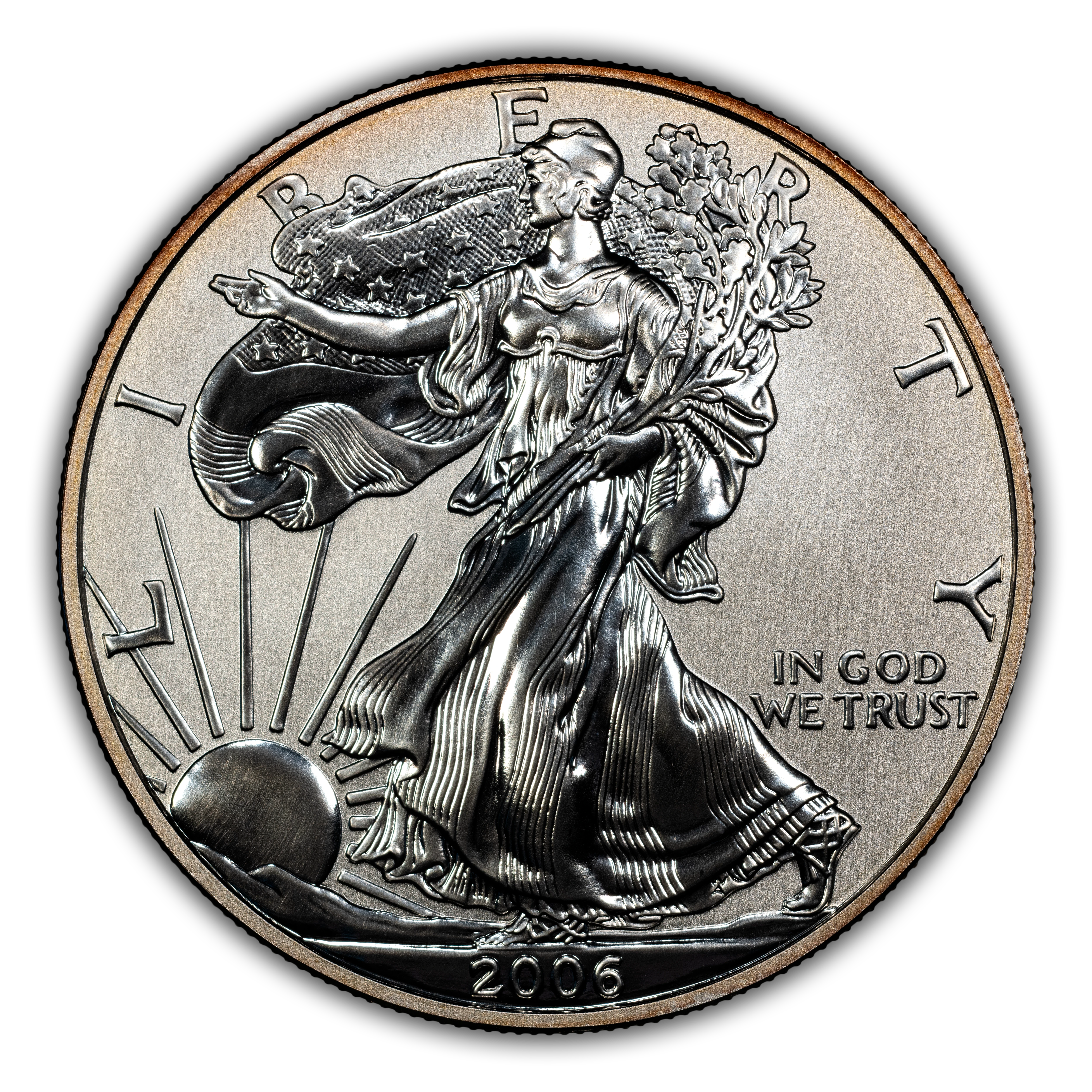 2006-P $1 Silver Eagle, Reverse Proof PR