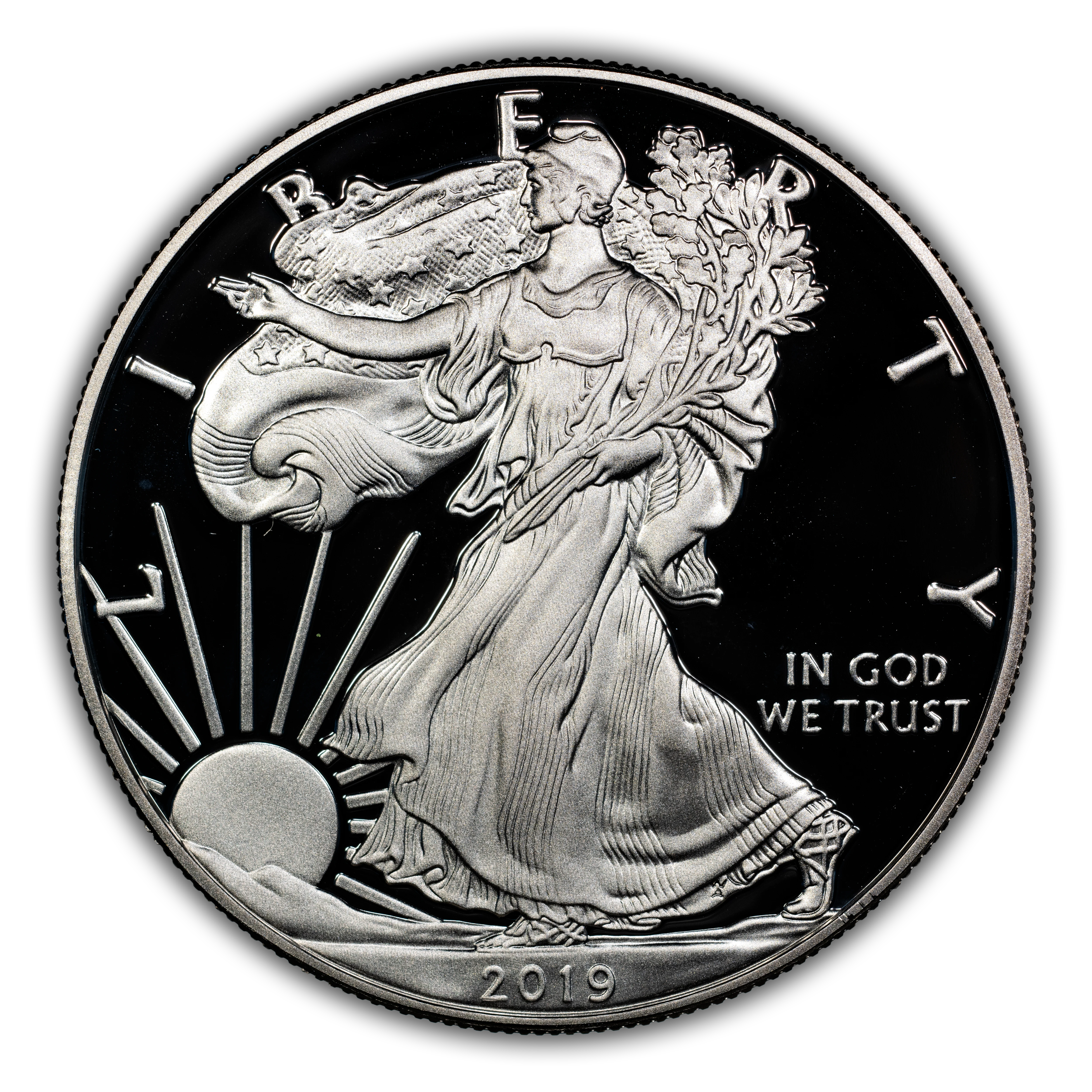 2019-S $1 Silver Eagle PR DCAM
