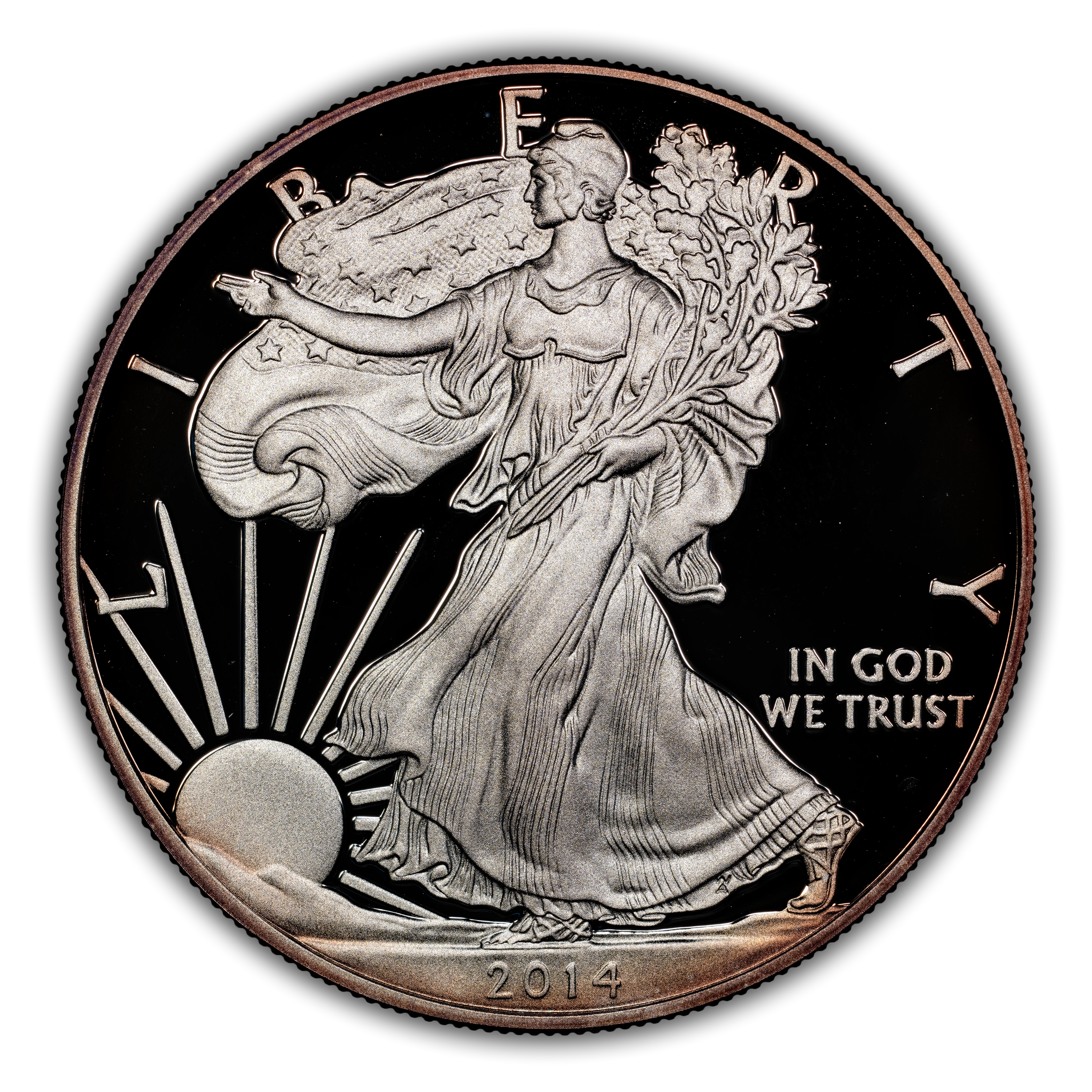 Silver Eagle マイク(エコメルカリ便) 2014 $1 Silver Eagles, Proof Values & Prices | Greysheet