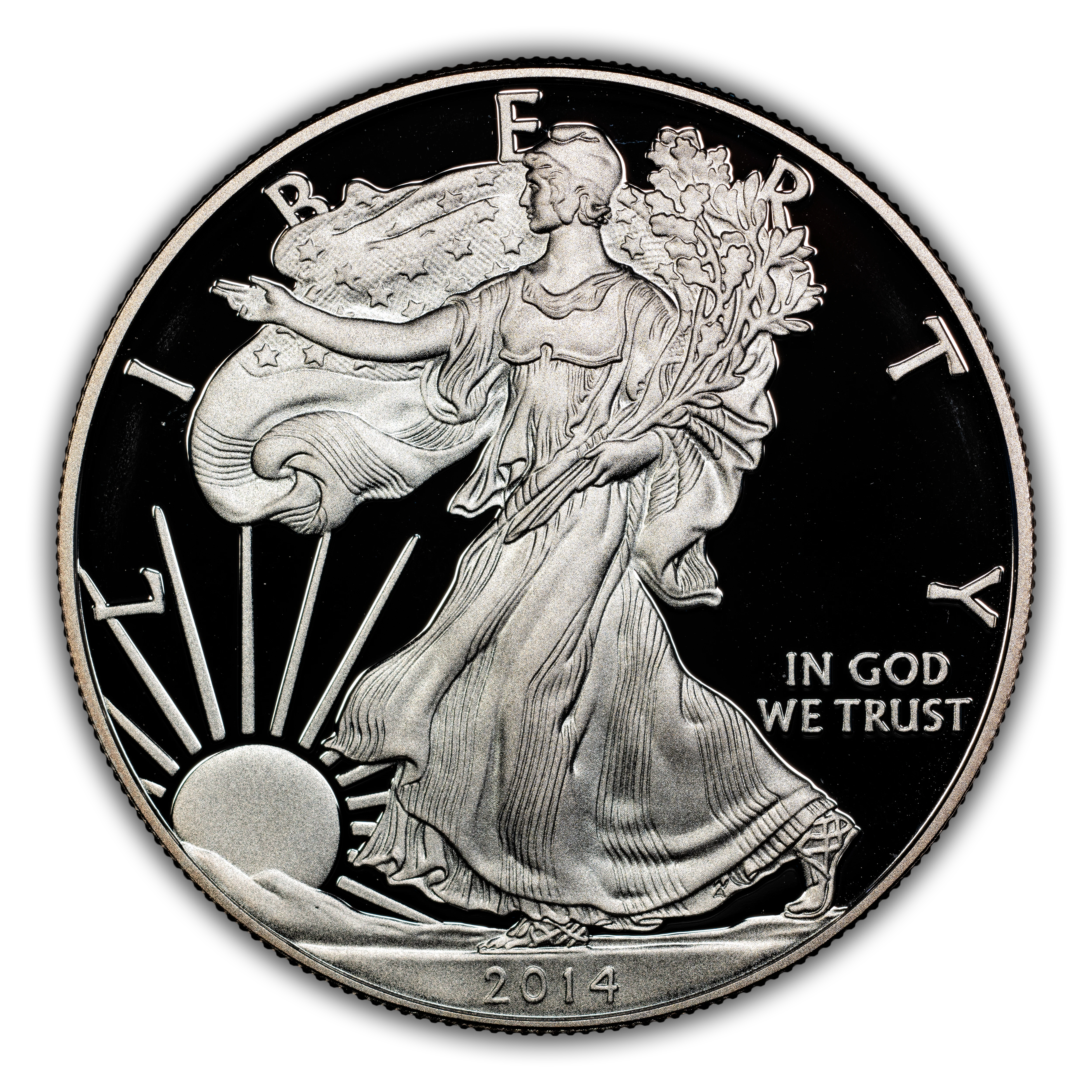 2014-W $1 Silver Eagle PR DCAM