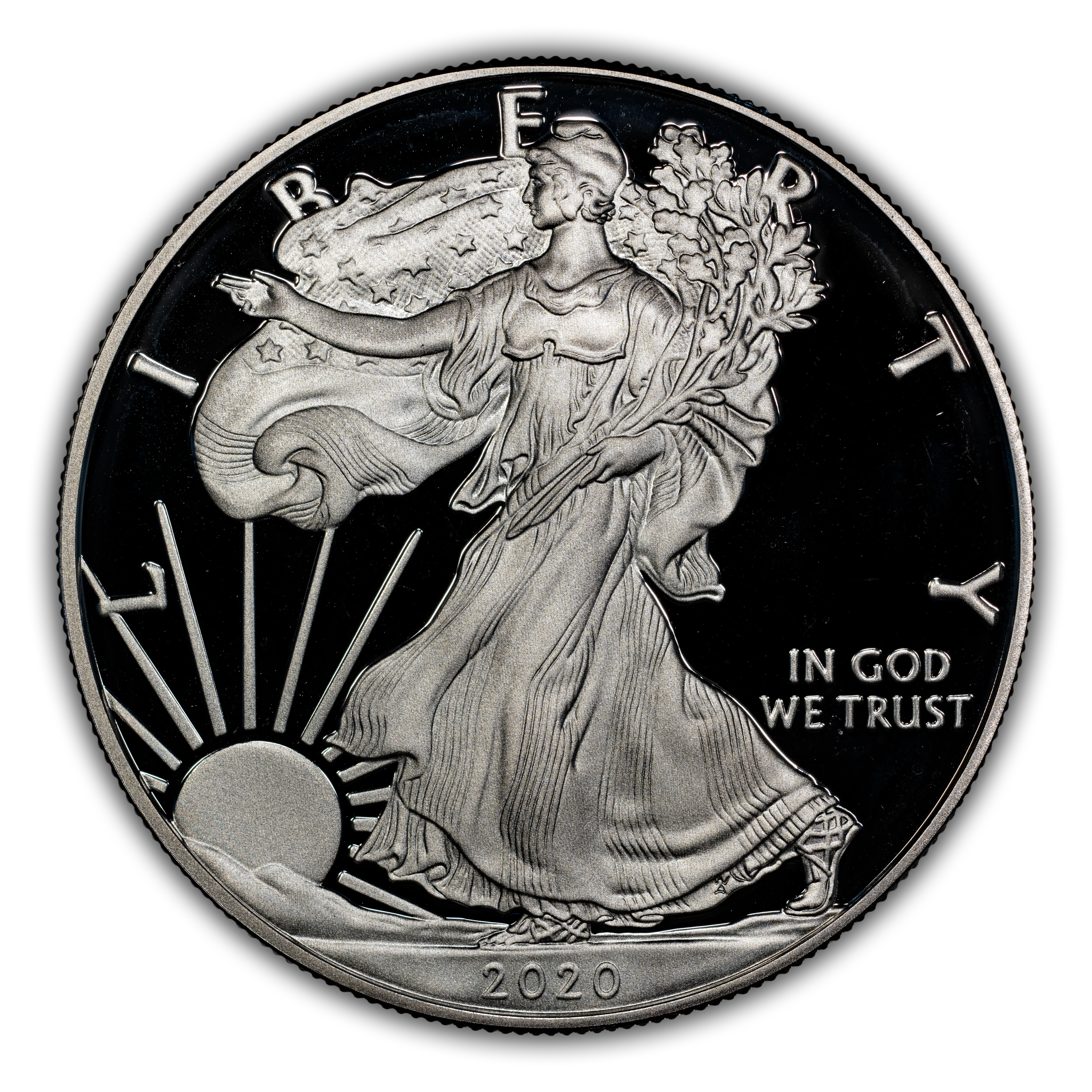 2020-S $1 Silver Eagle PR DCAM