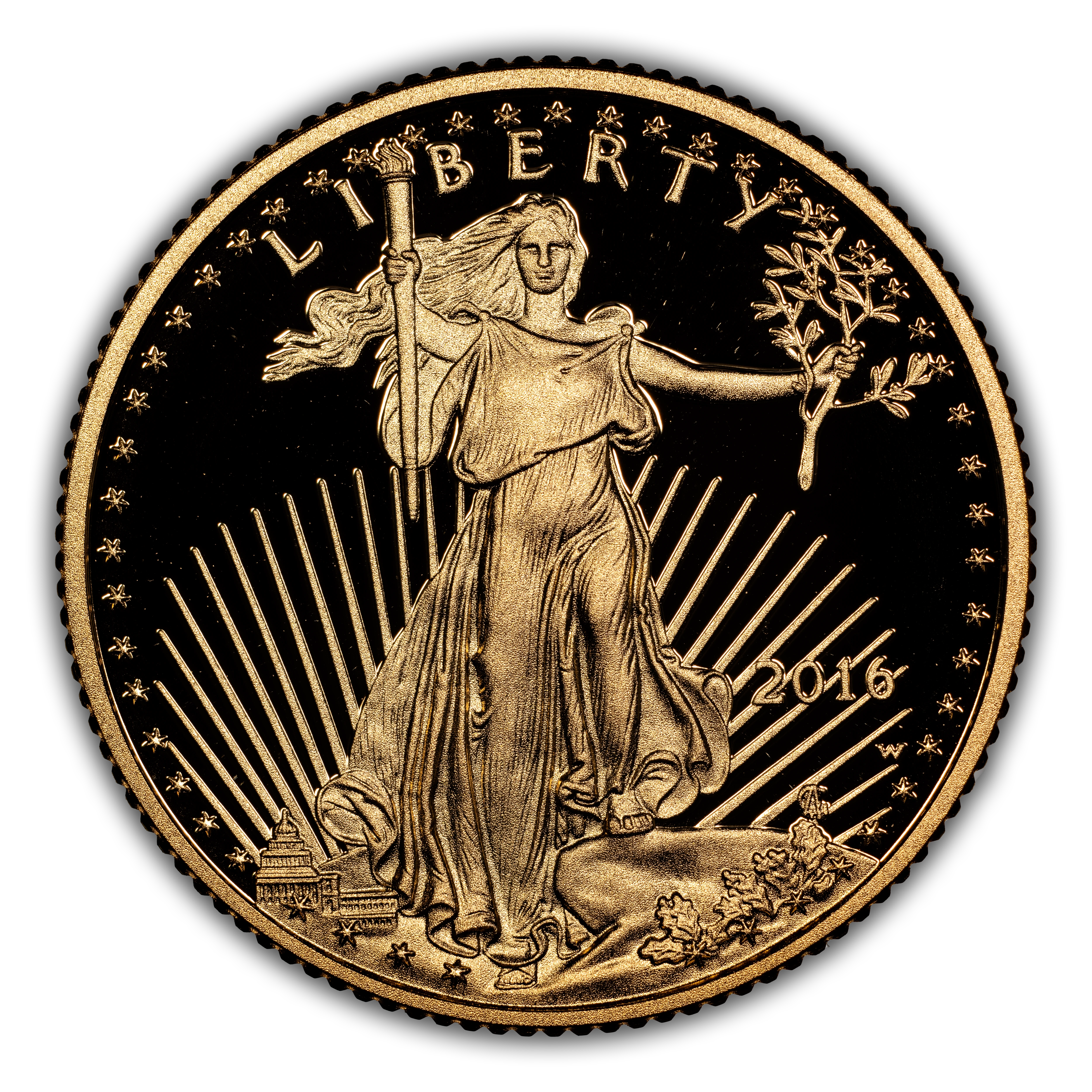2016-W $10 Gold Eagle, 30th Anniversary PR DCAM