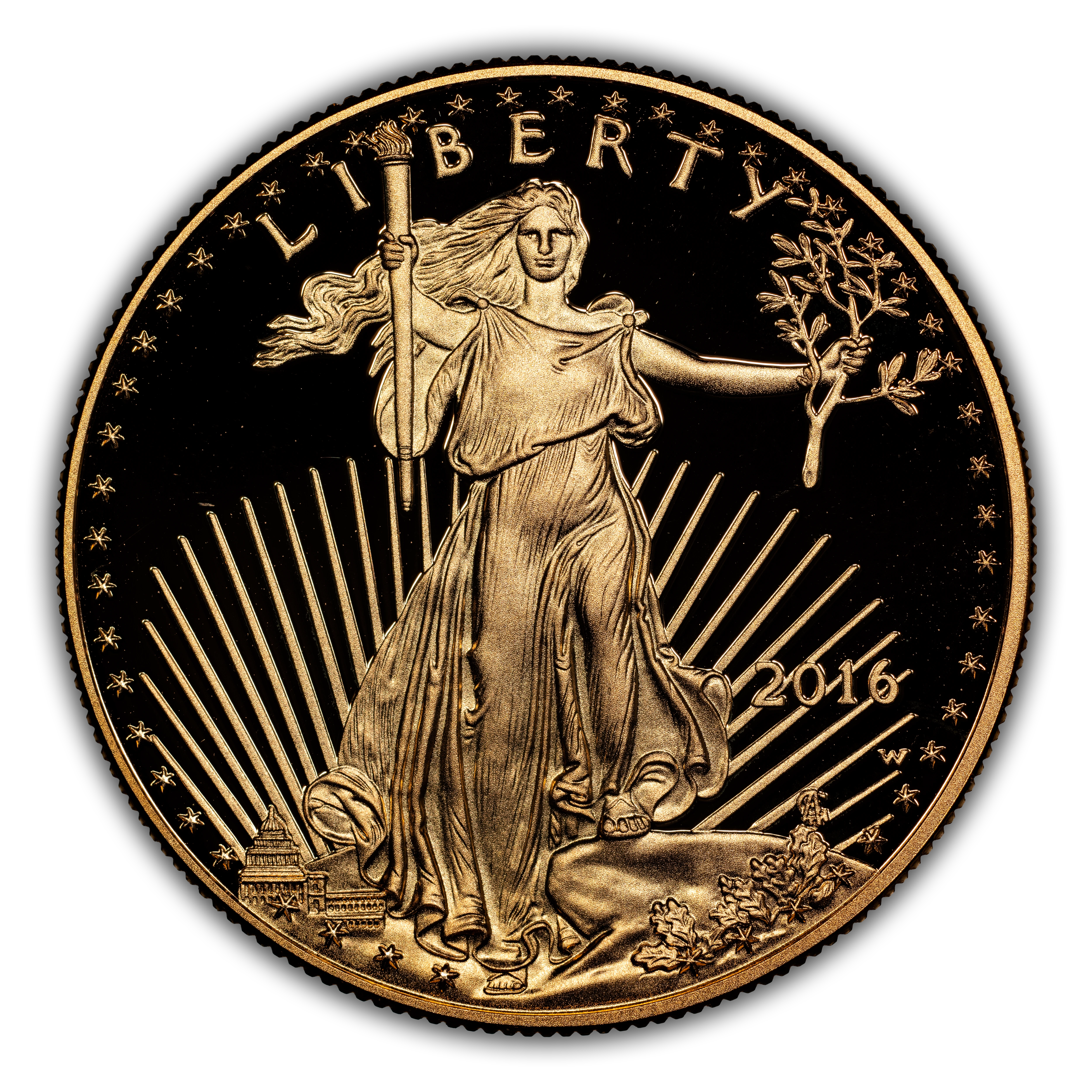2016-W G$50 Gold Eagle, 30th Anniversary PR DCAM
