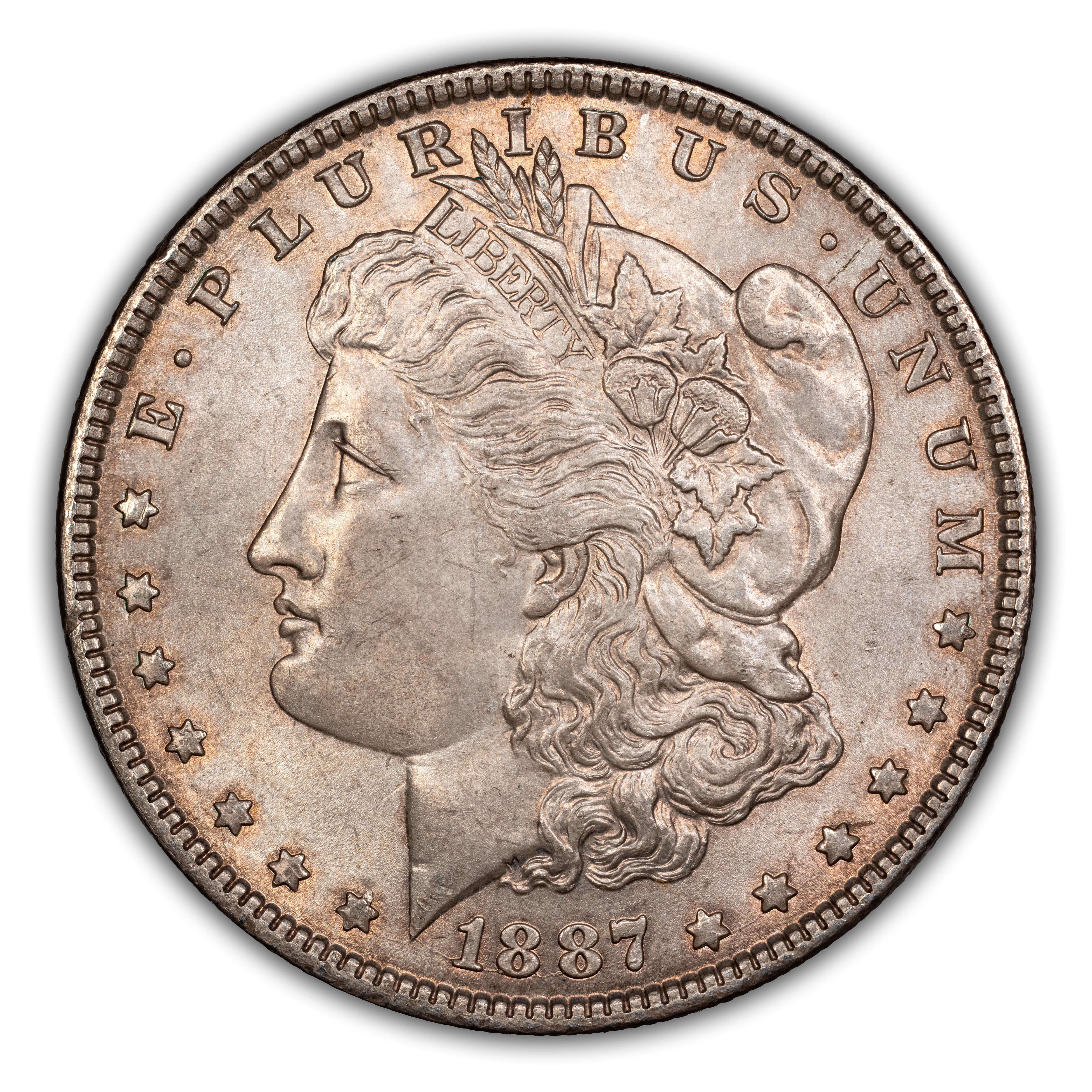 1887 $1  MS thumbnail 21