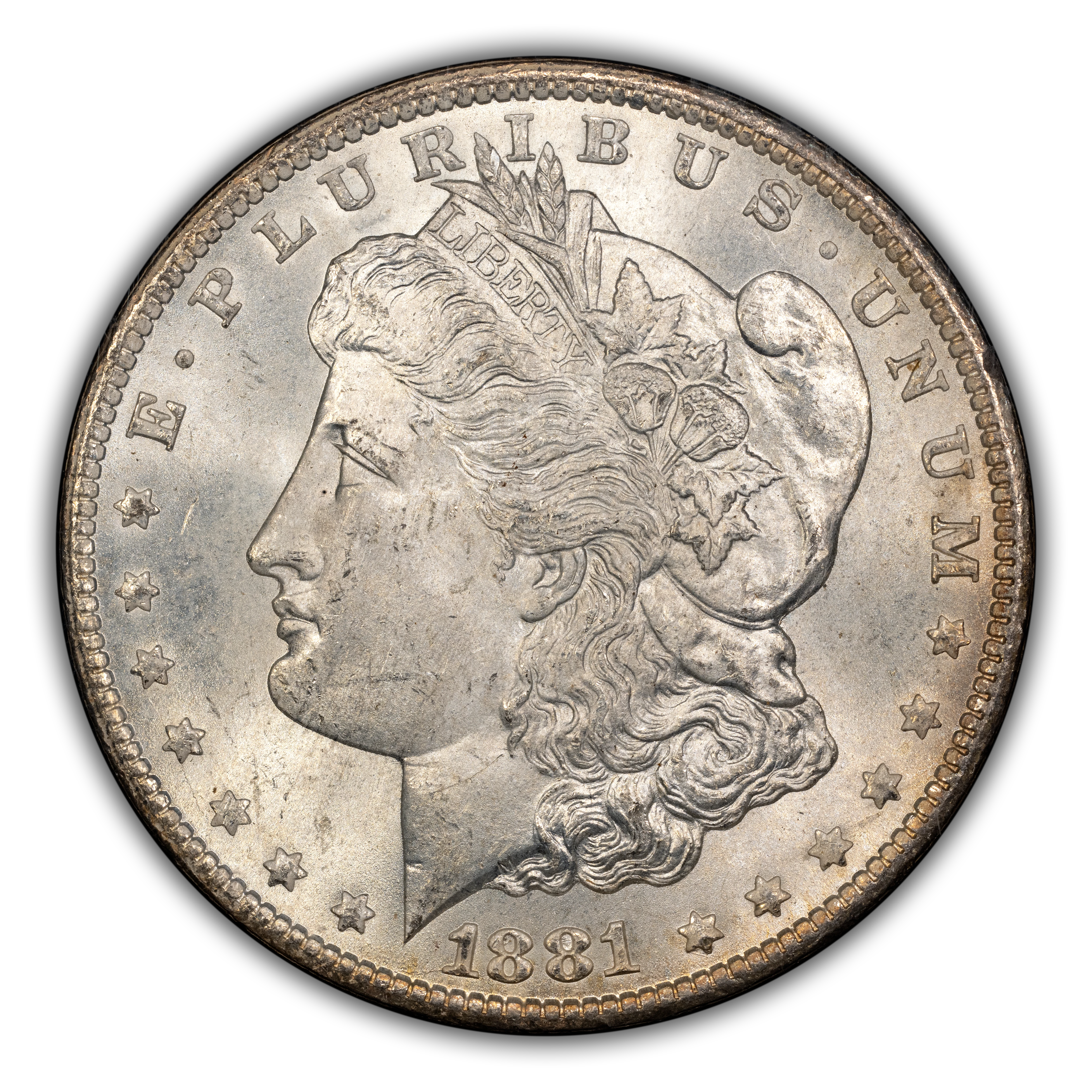1881-CC $1  GSA Hoard, Hard package MS thumbnail 5