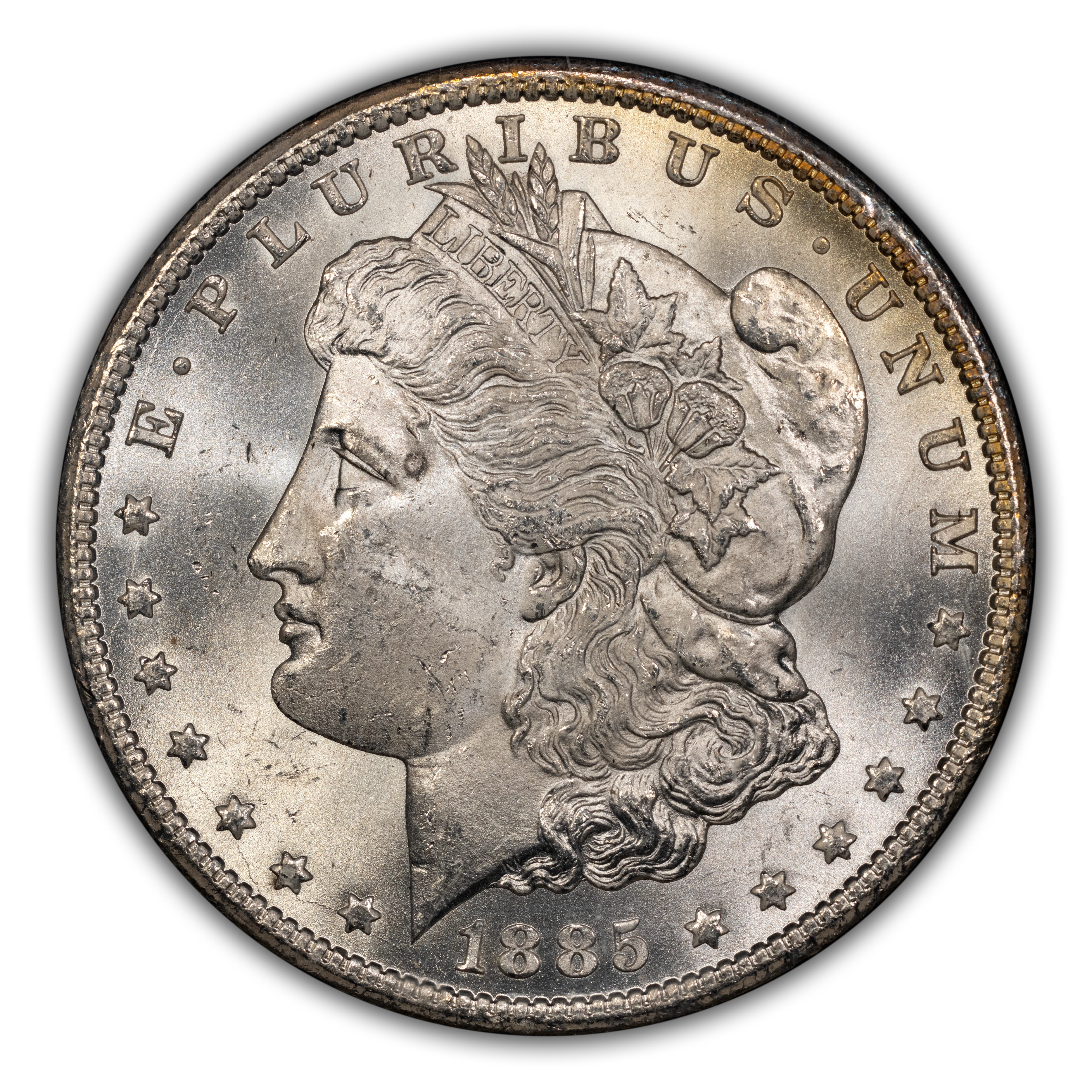 1885-CC $1  GSA Hoard, Hard package MS thumbnail 18