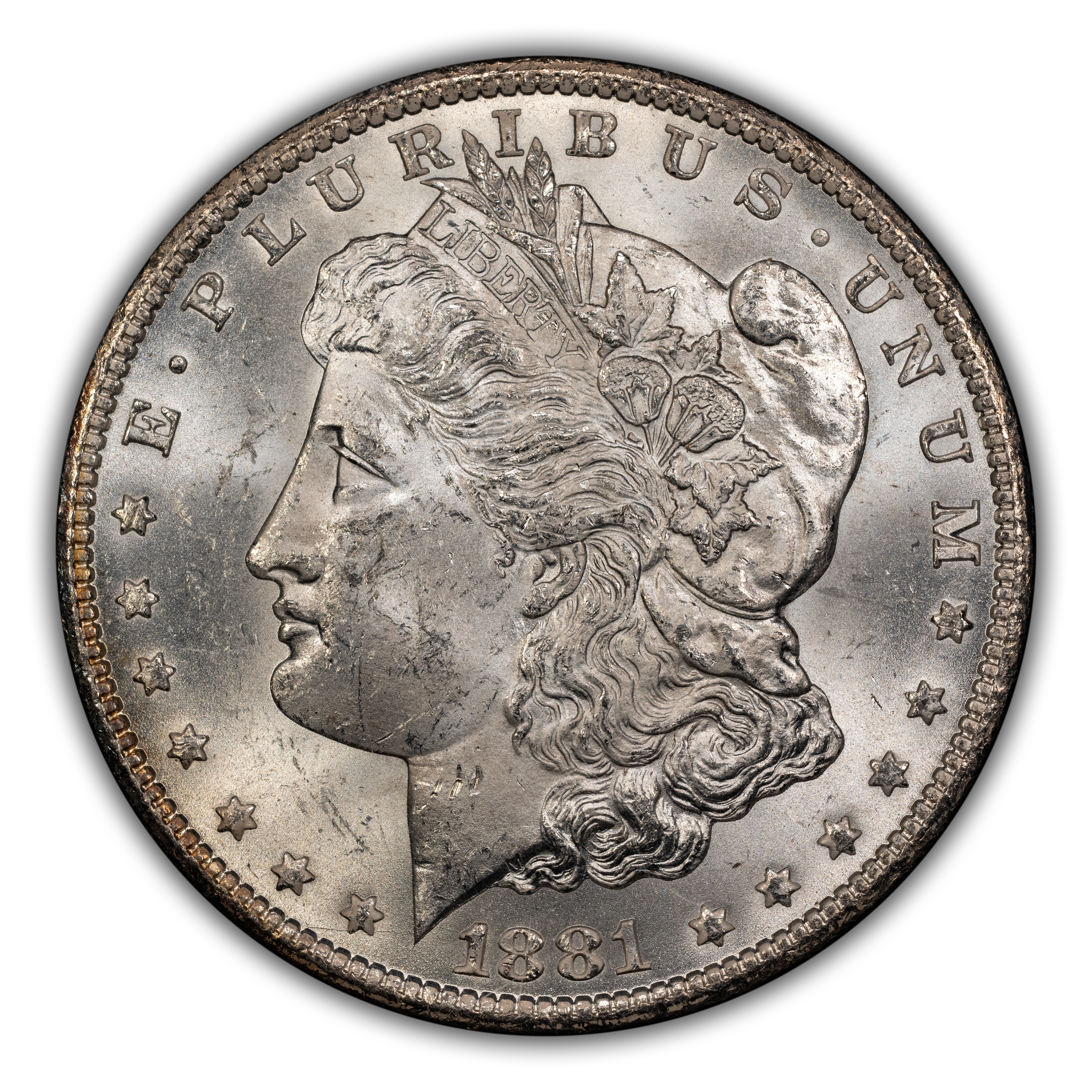 1881-CC $1  GSA Hoard, Hard package MS thumbnail 7