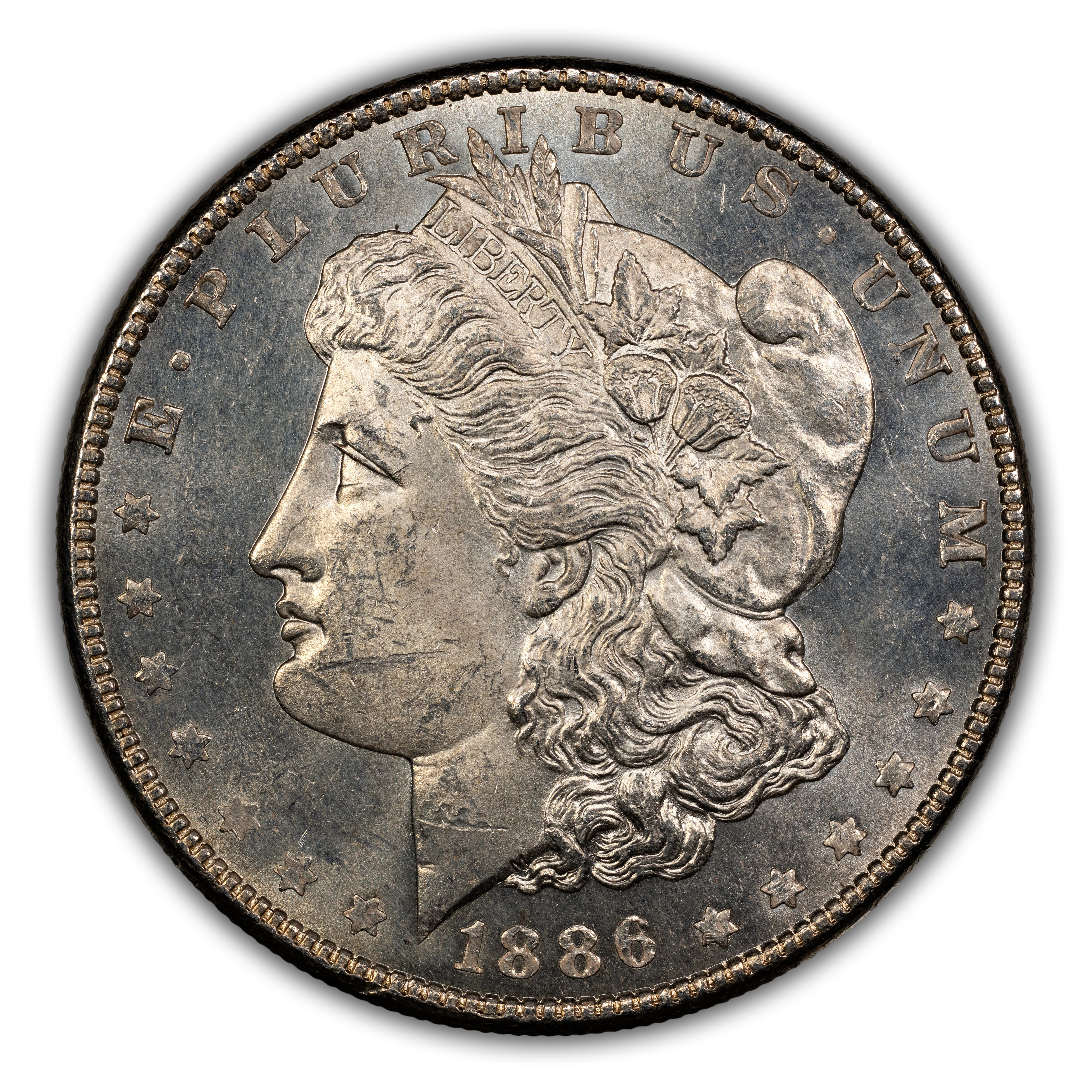 1886 $1  MS thumbnail 10