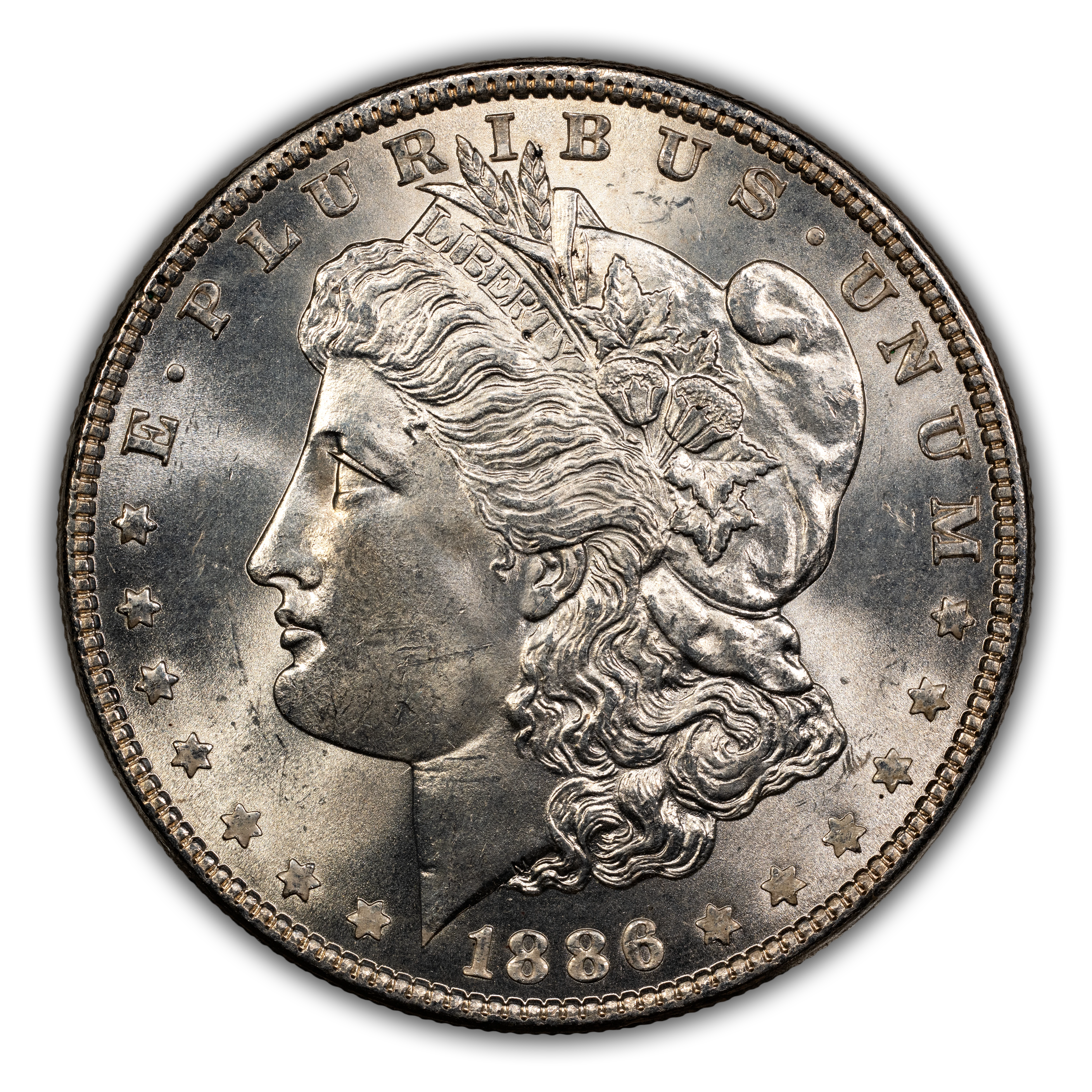 1886 $1  MS thumbnail 11
