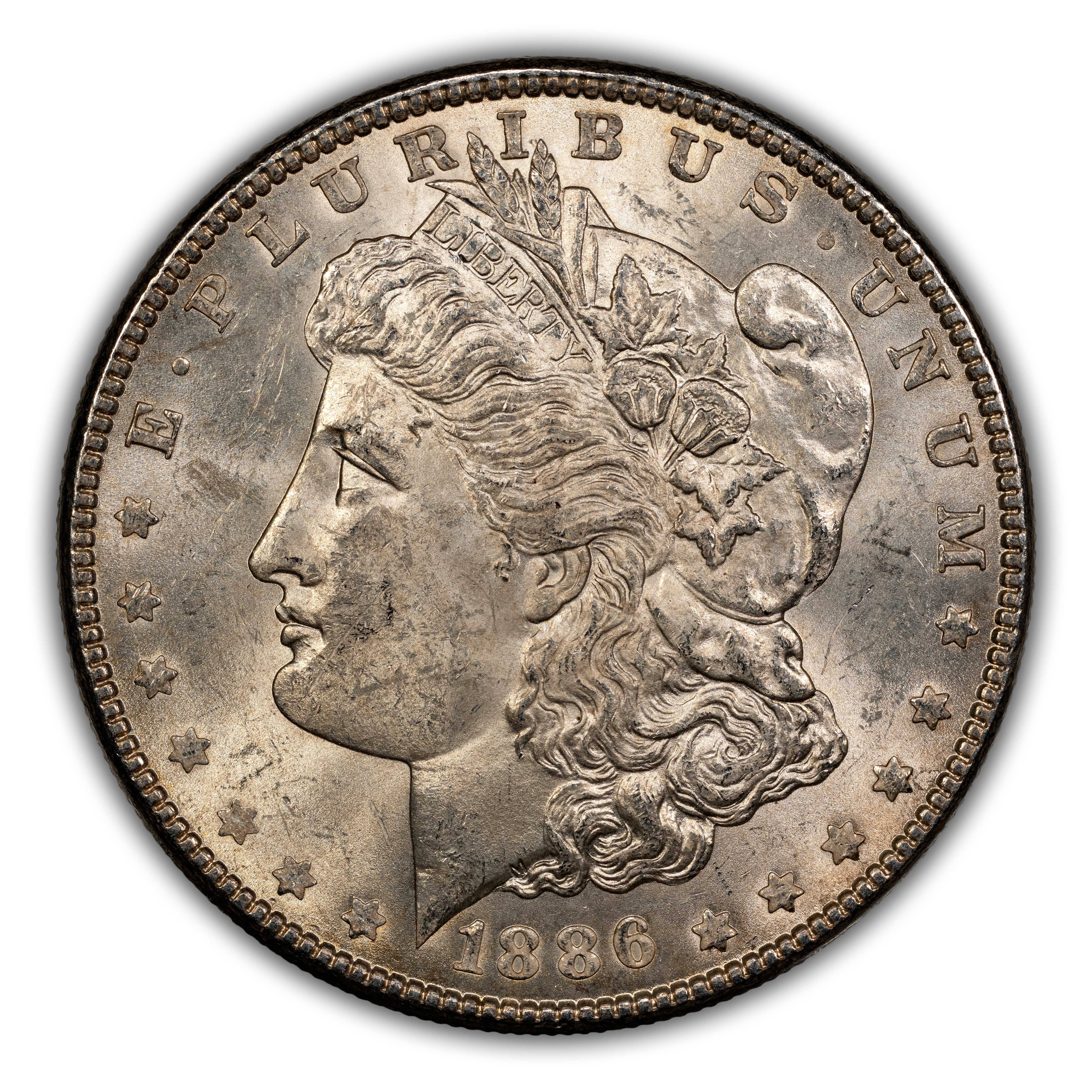 1886 $1  MS thumbnail 13