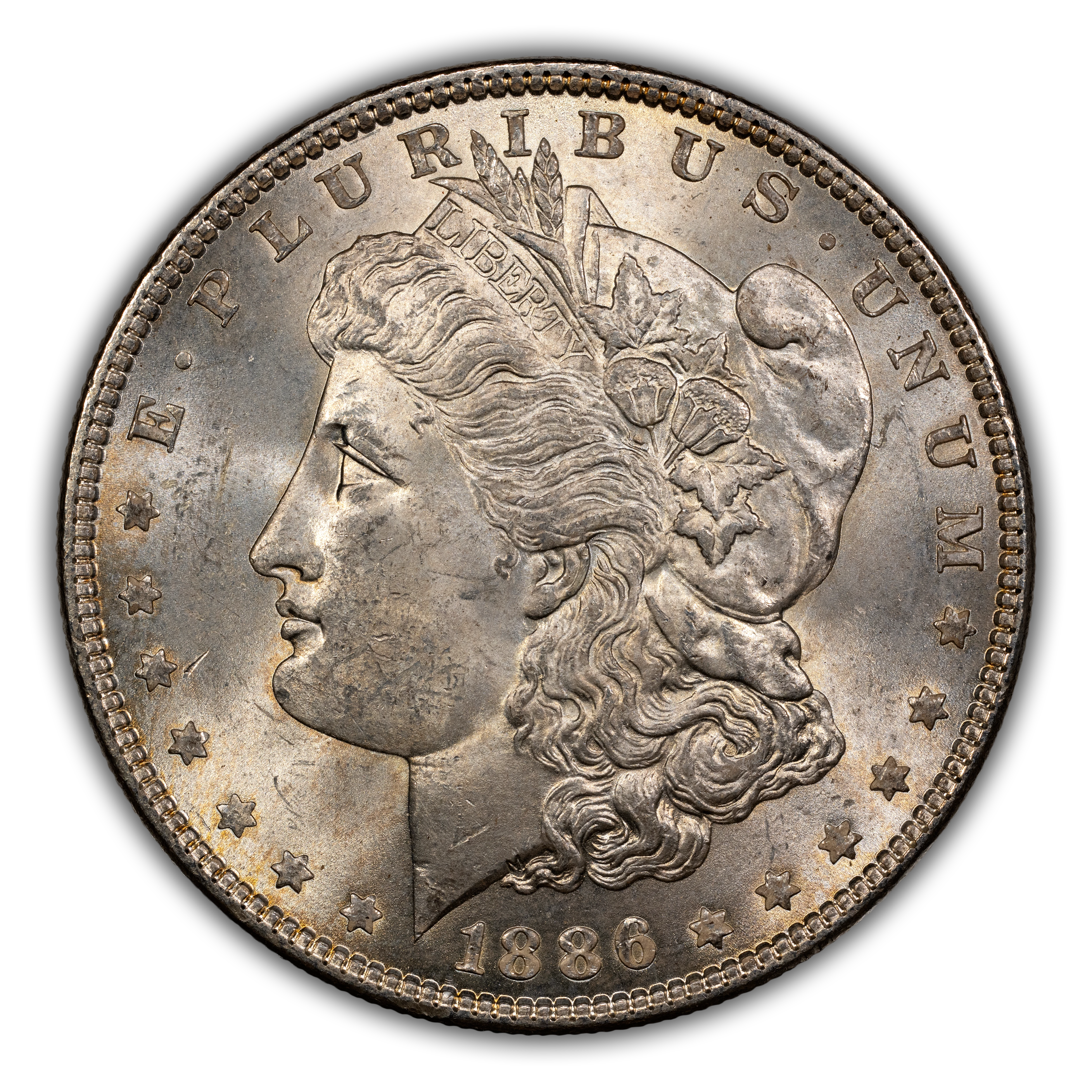 1886 $1  MS thumbnail 14