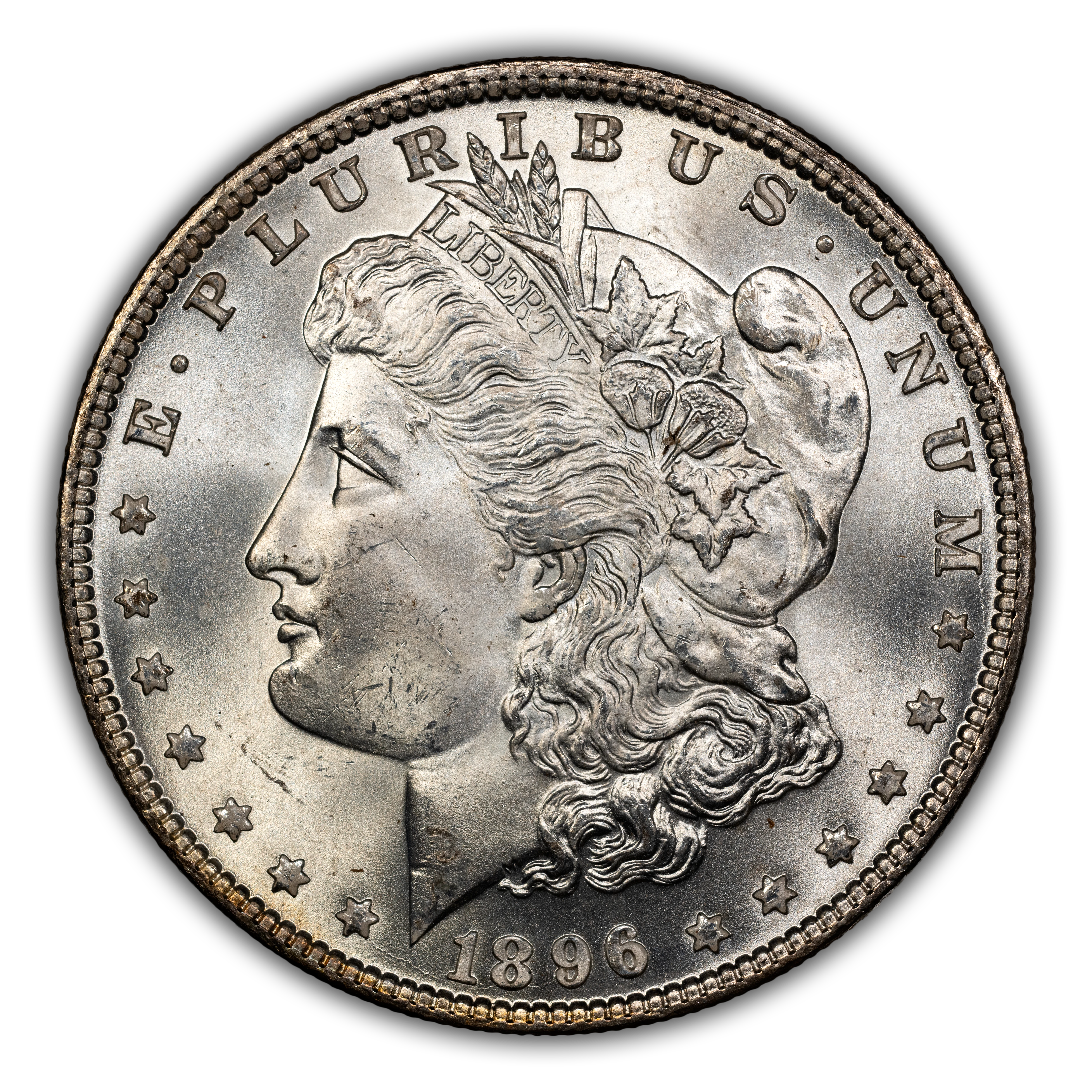 1896 $1 8 in Denticles, VAM-19 MS