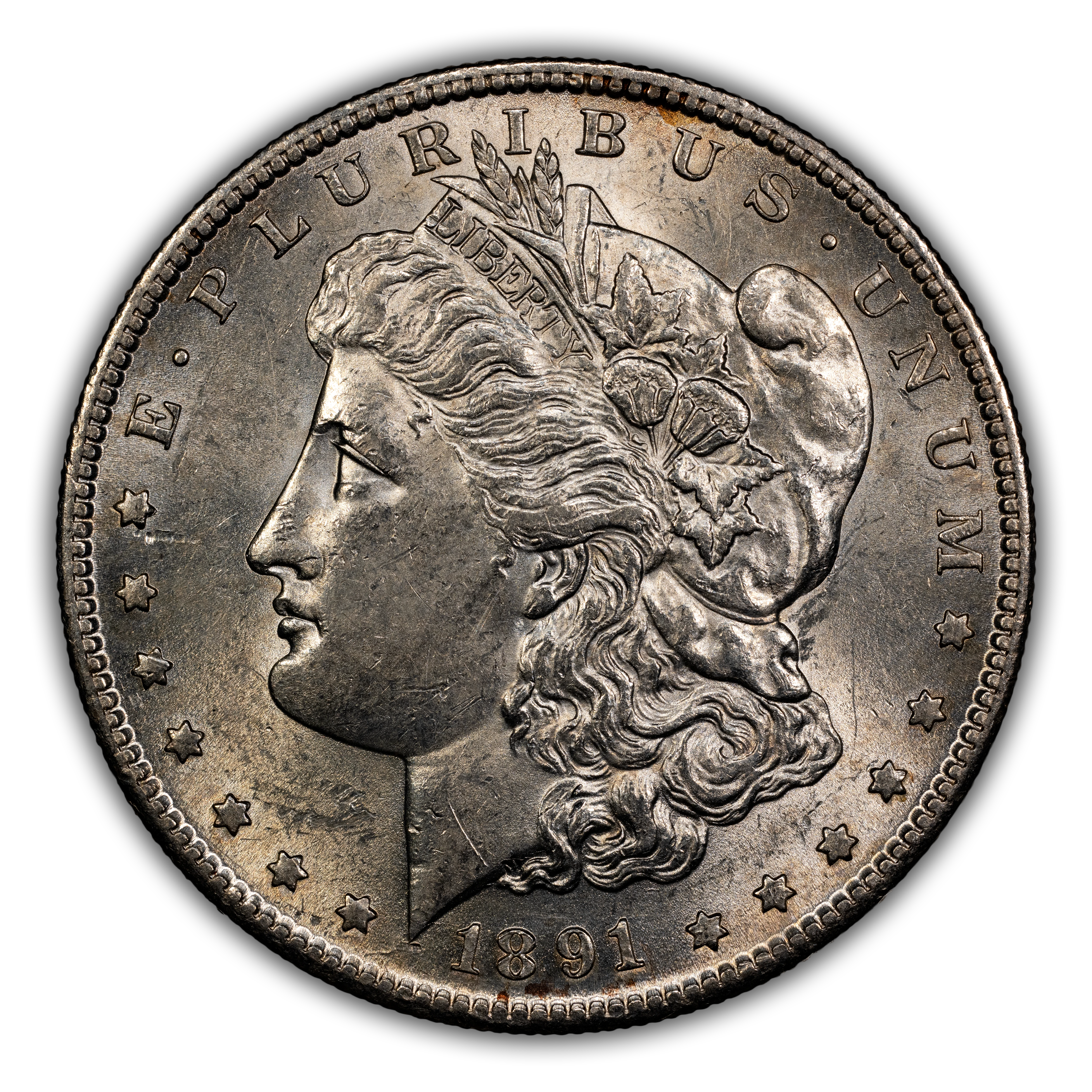 1891-S $1  GSA Hoard, Soft Package MS thumbnail 5
