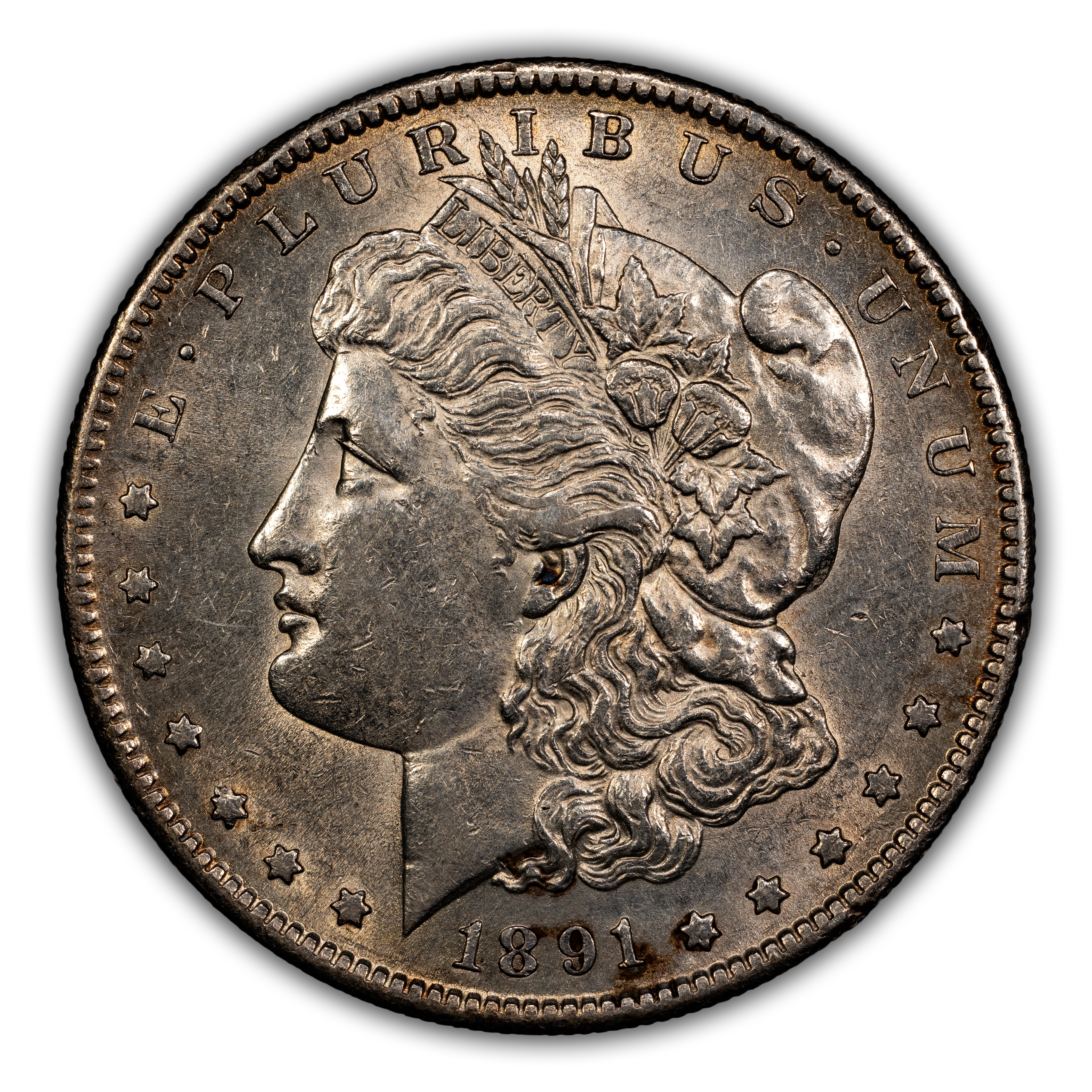 1891-S $1  GSA Hoard, Soft Package MS thumbnail 6
