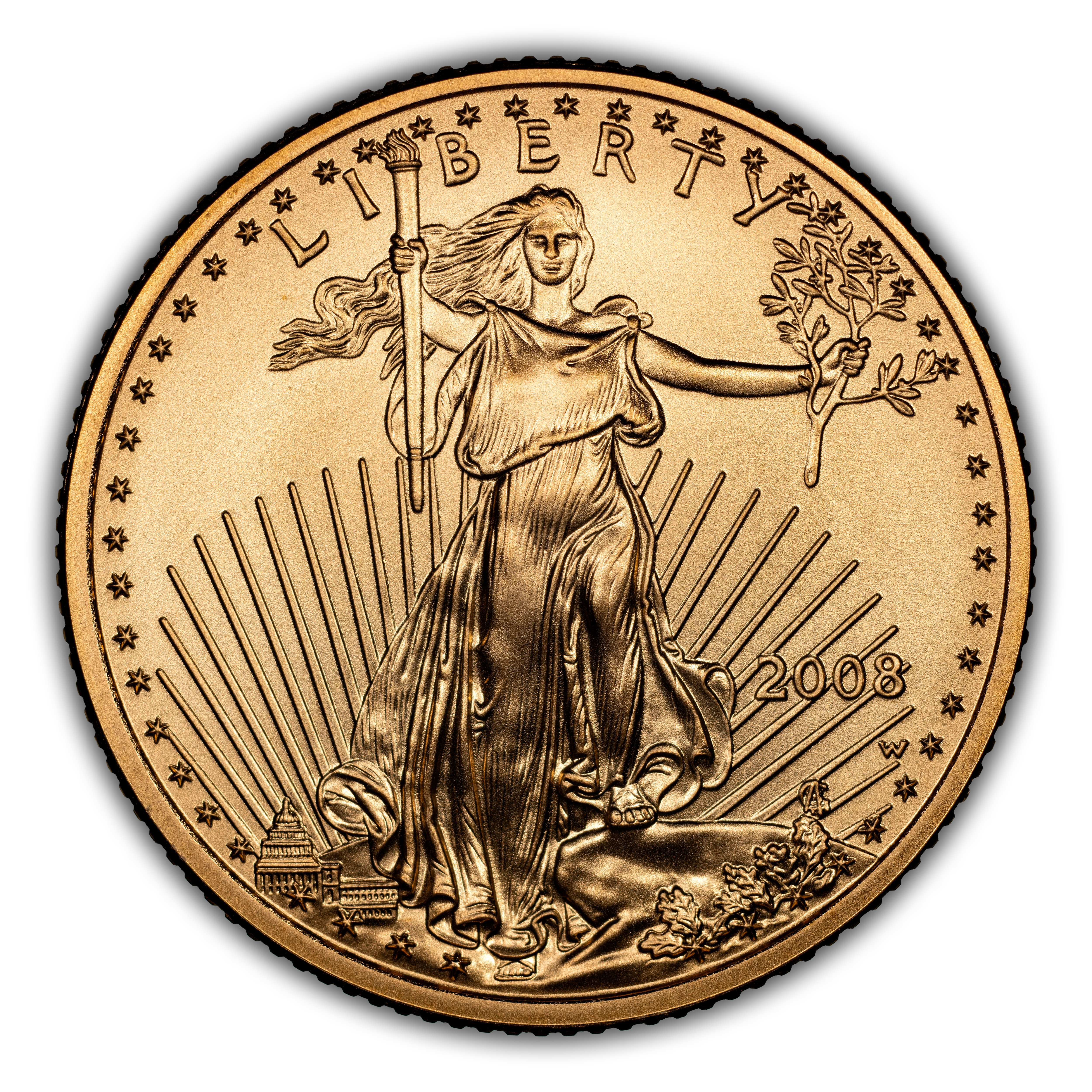 2008-W $10 Gold Eagle, Burnished MS