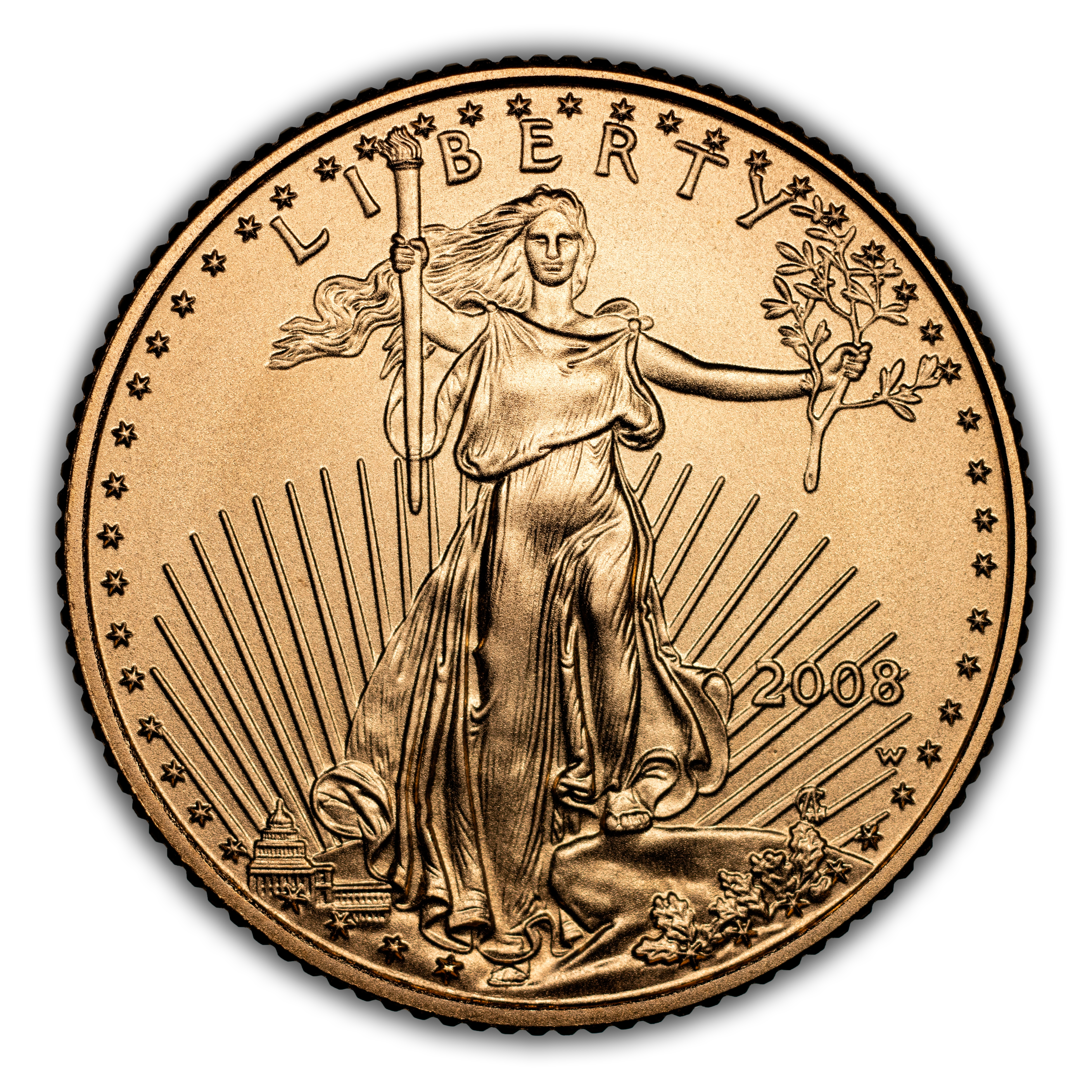 2008-W $5  Gold Eagle, Burnished MS thumbnail 3