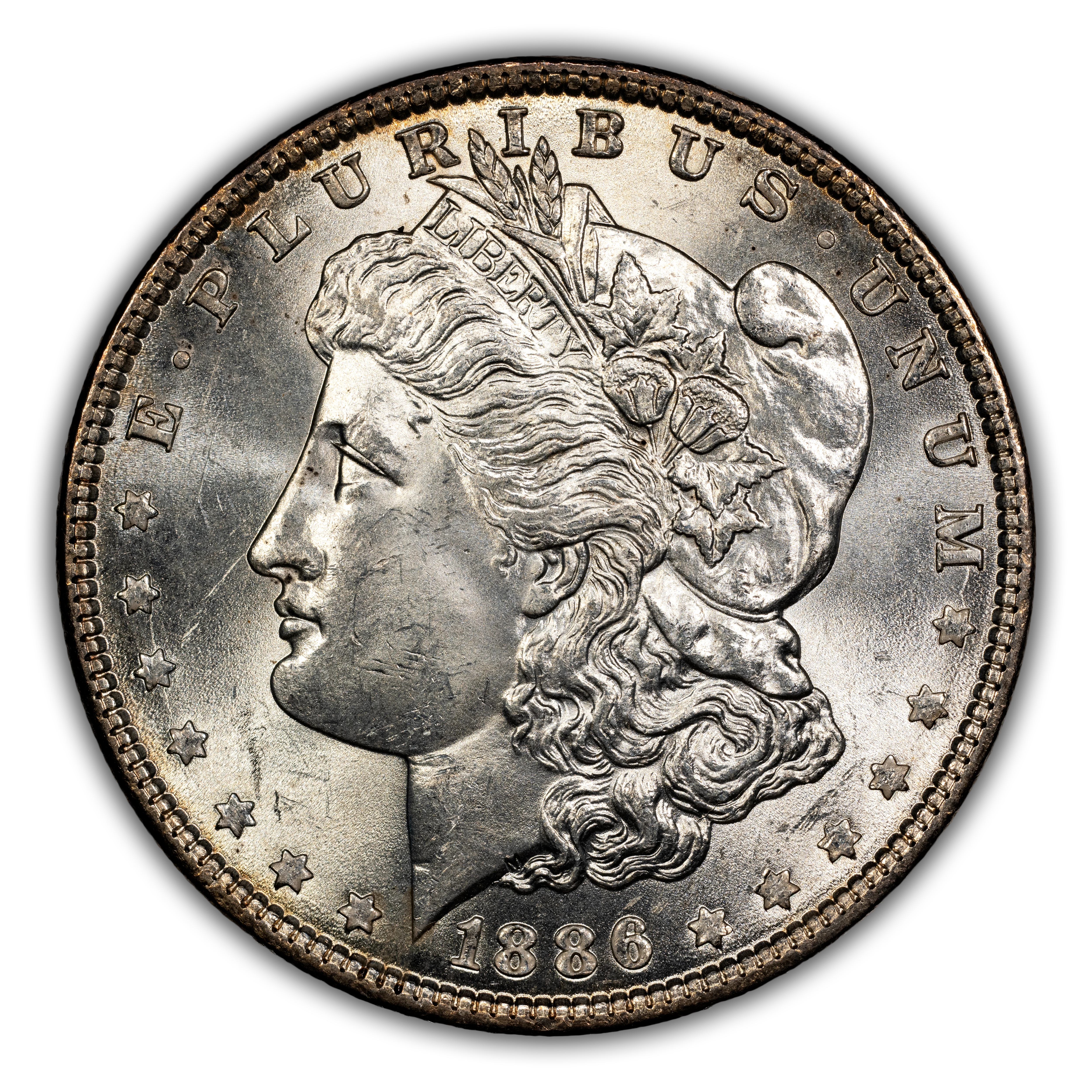 1886 $1  MS thumbnail 6