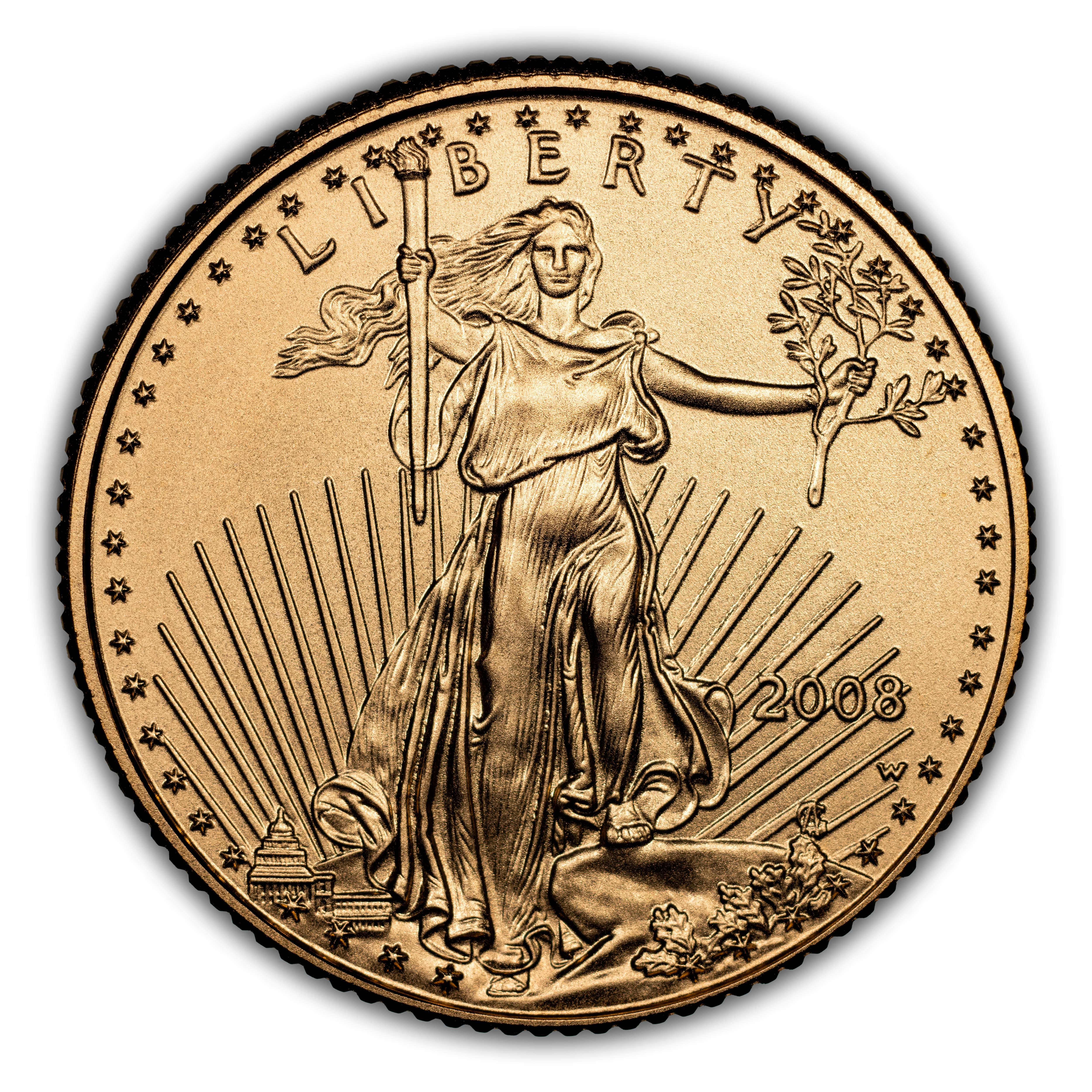 2008-W $5 Gold Eagle, Burnished MS