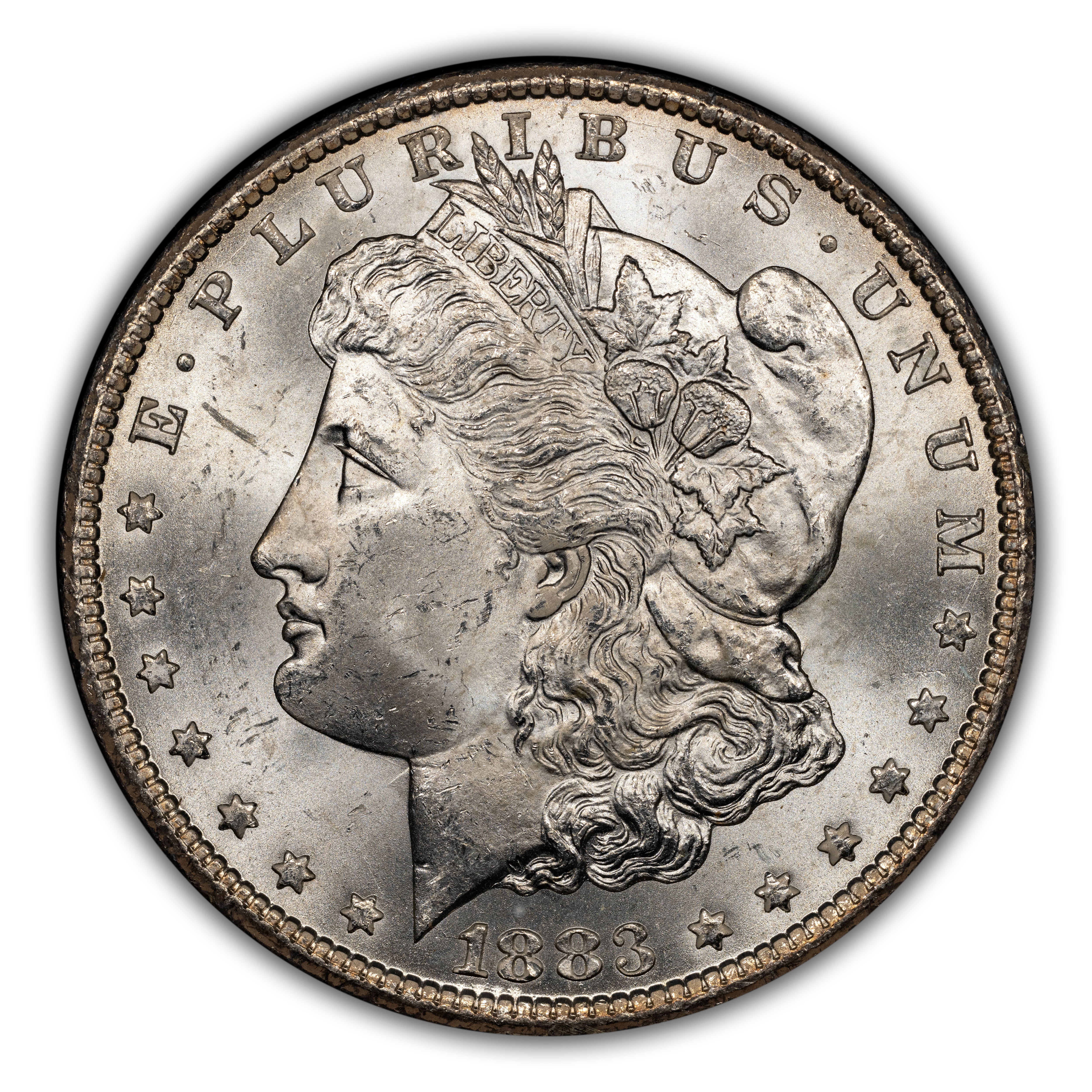 1883-CC $1  GSA Hoard, CC/CC, Polished, VAM-5B MS thumbnail 2