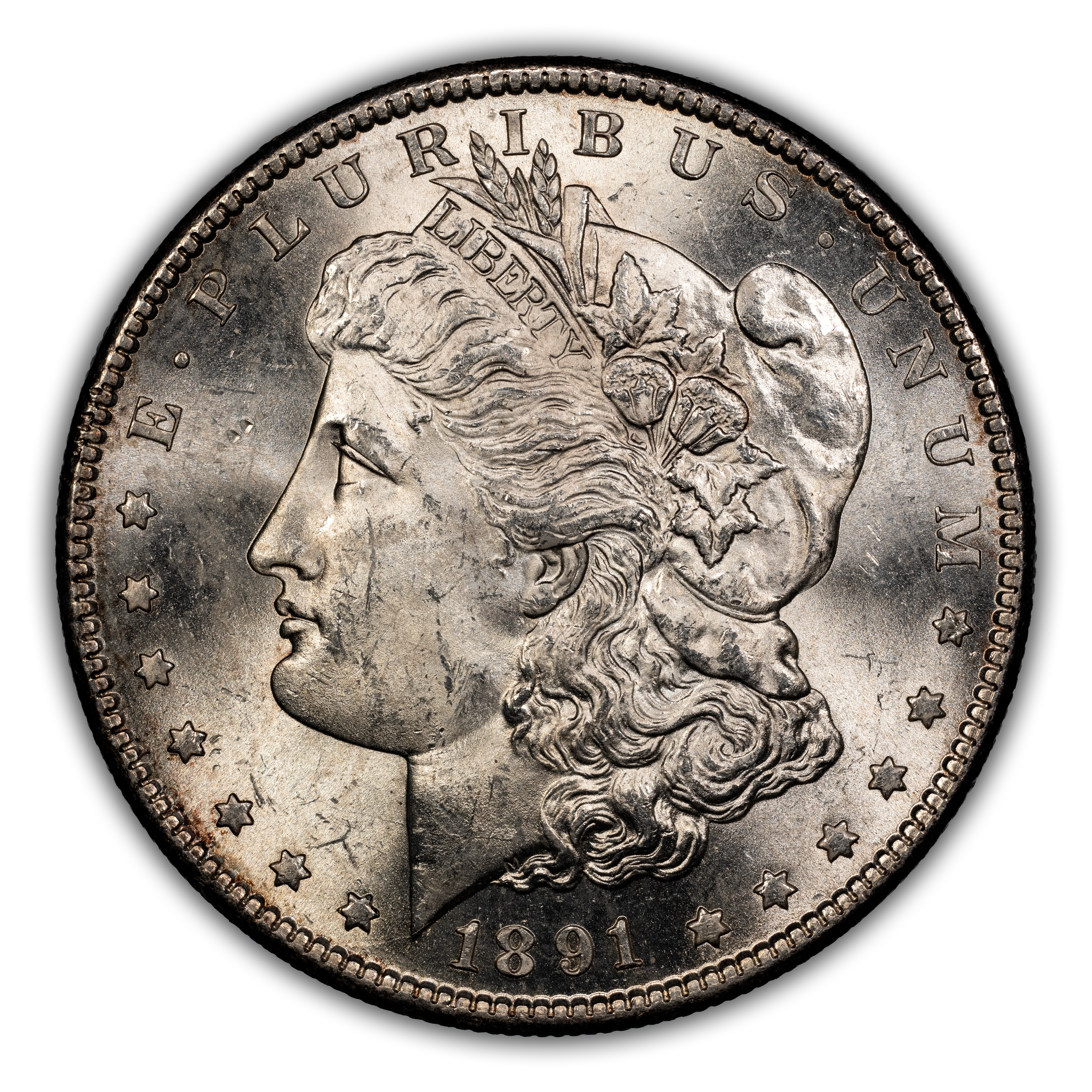 1891-S $1  GSA Hoard, Soft Package MS thumbnail 2
