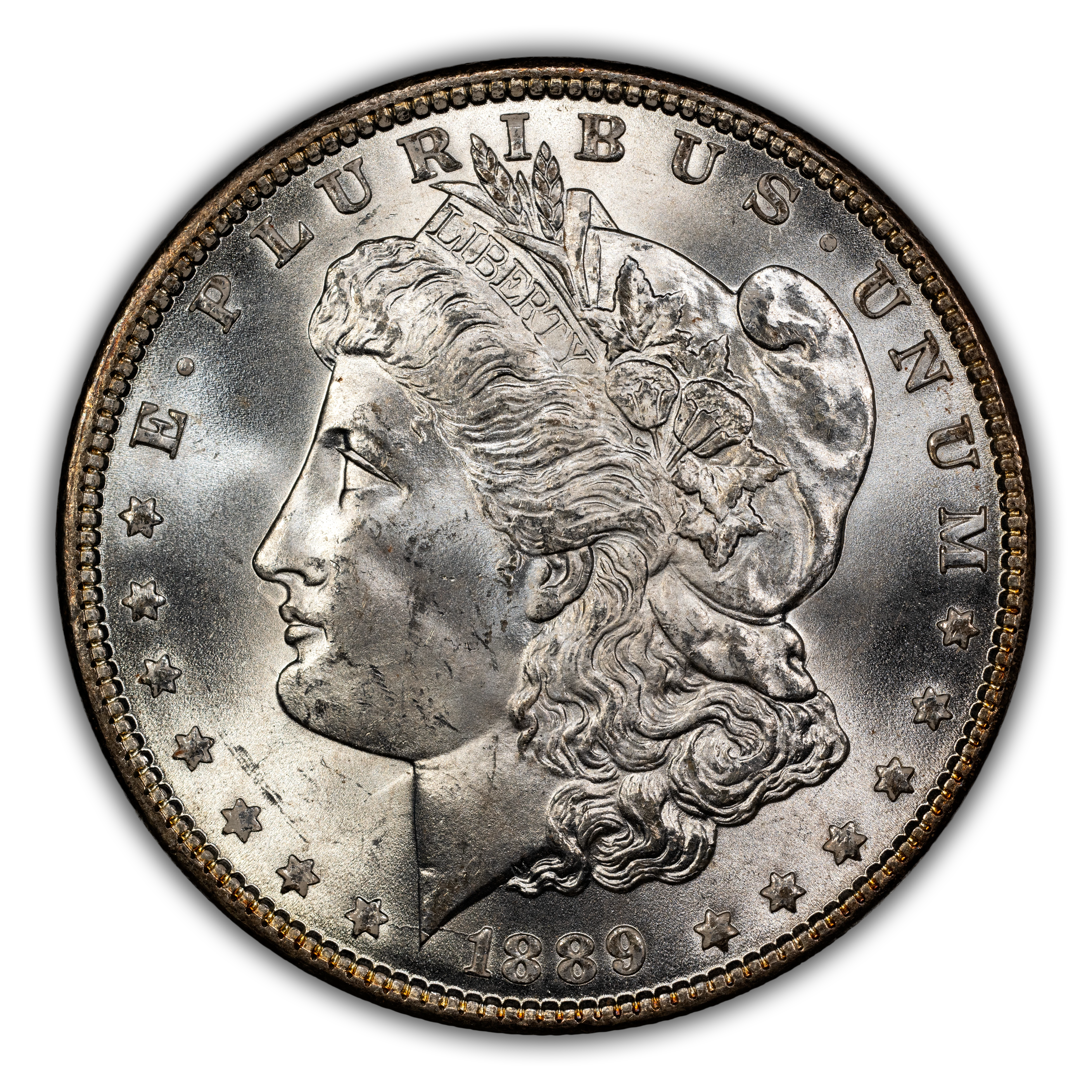 1889 $1 Bar Wing, VAM-19A MS