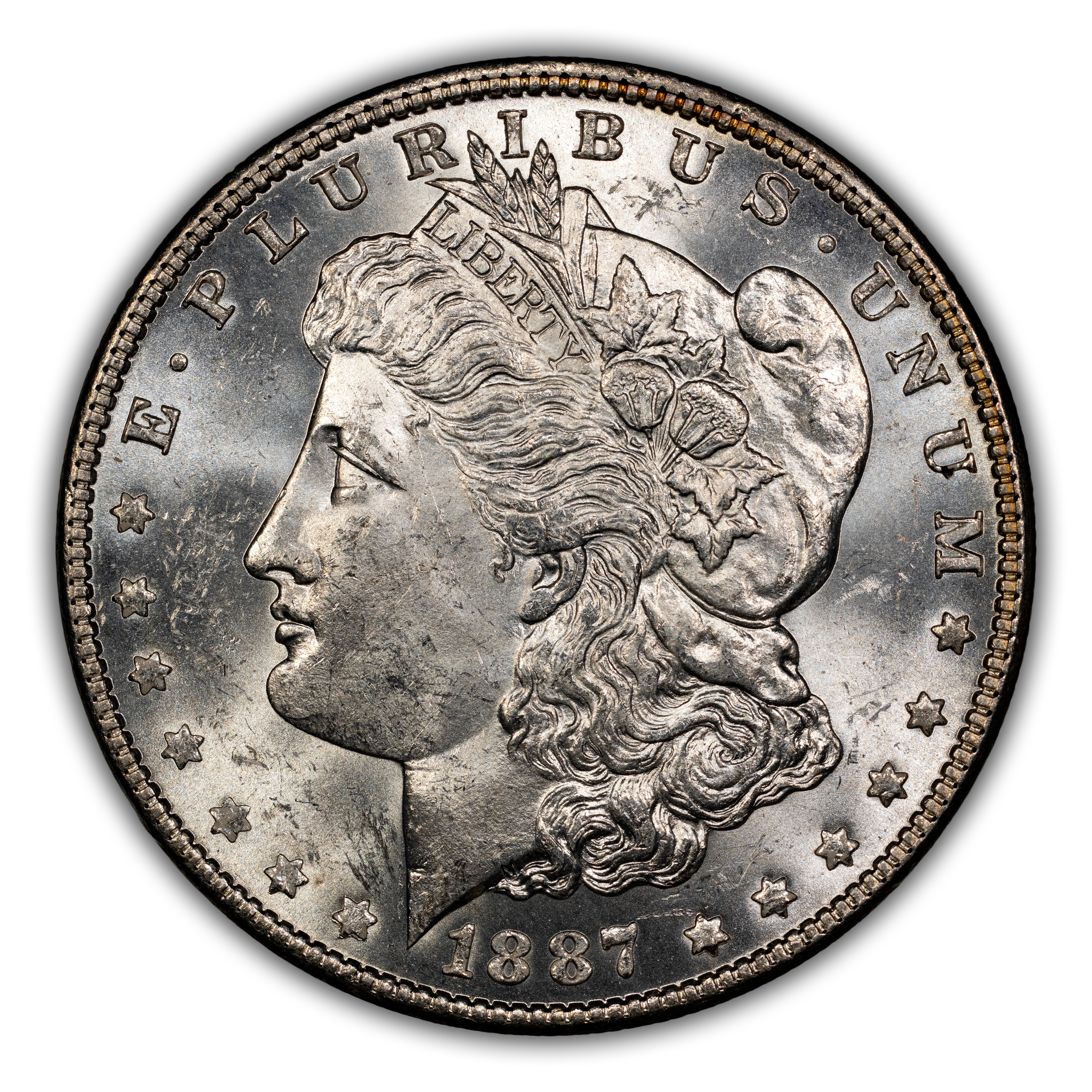 1887 $1 Alligator Eye, VAM-12 MS