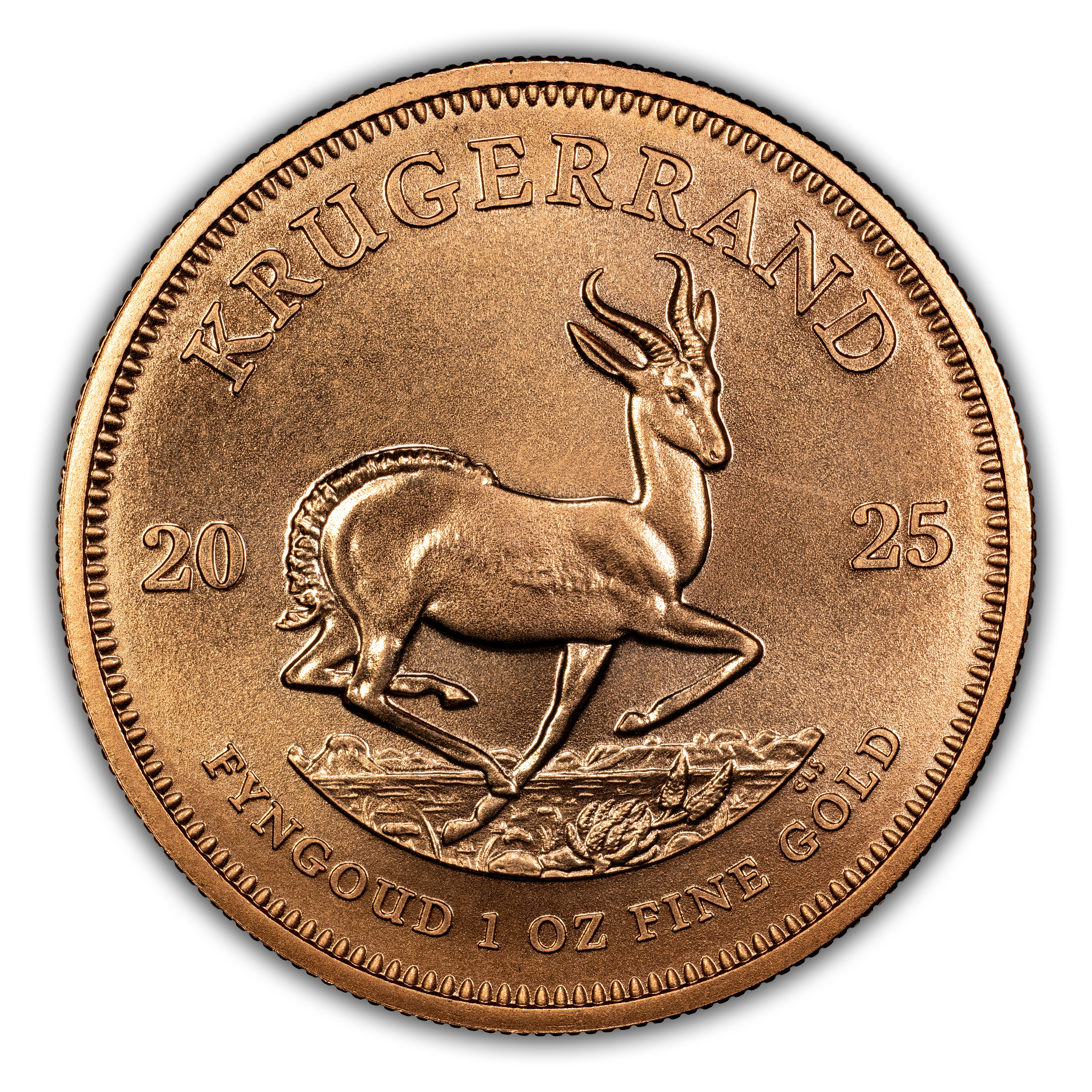 2025 KR 1oz Gold MS