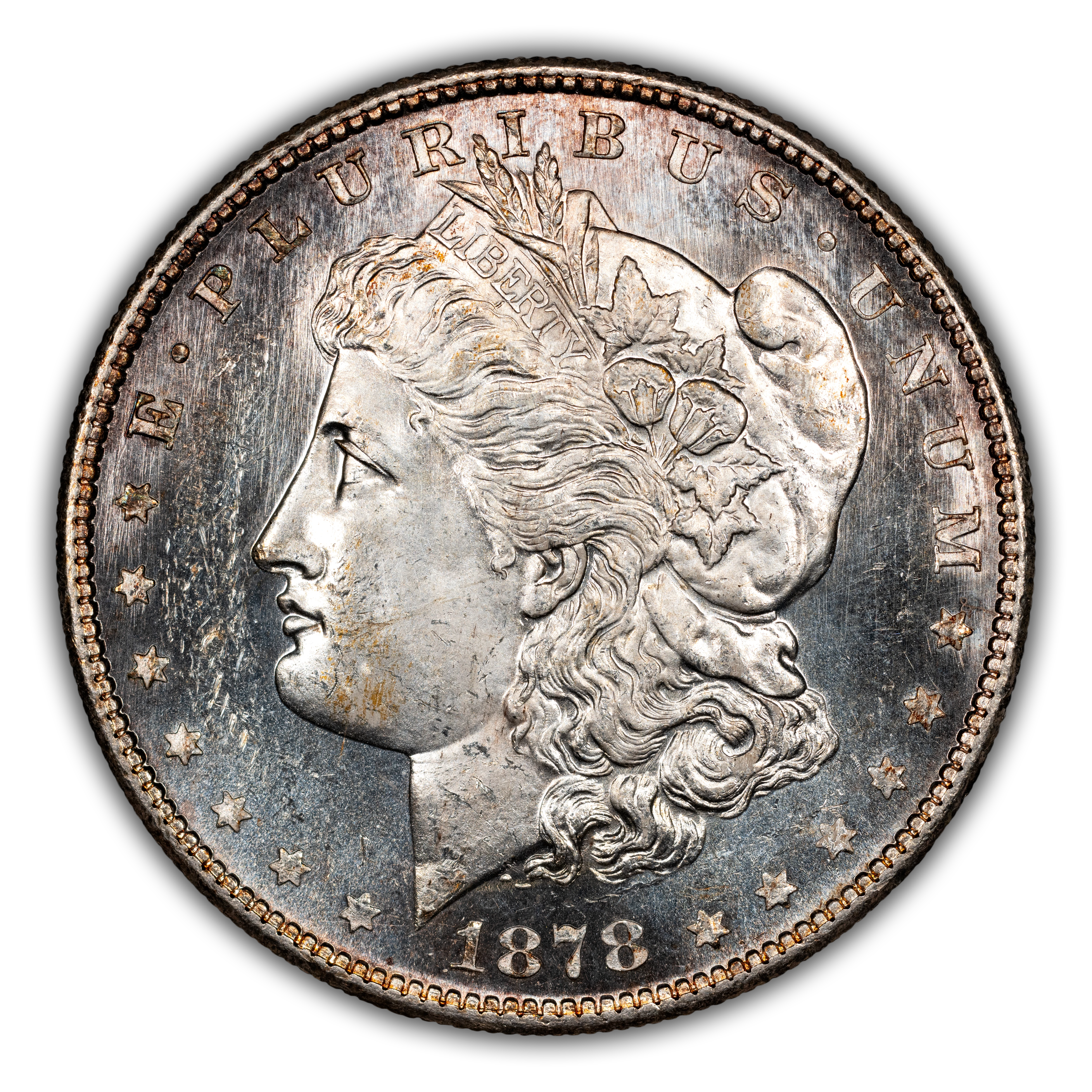 1878-S $1  Doubled RIB, VAM-6 MS PL thumbnail 2