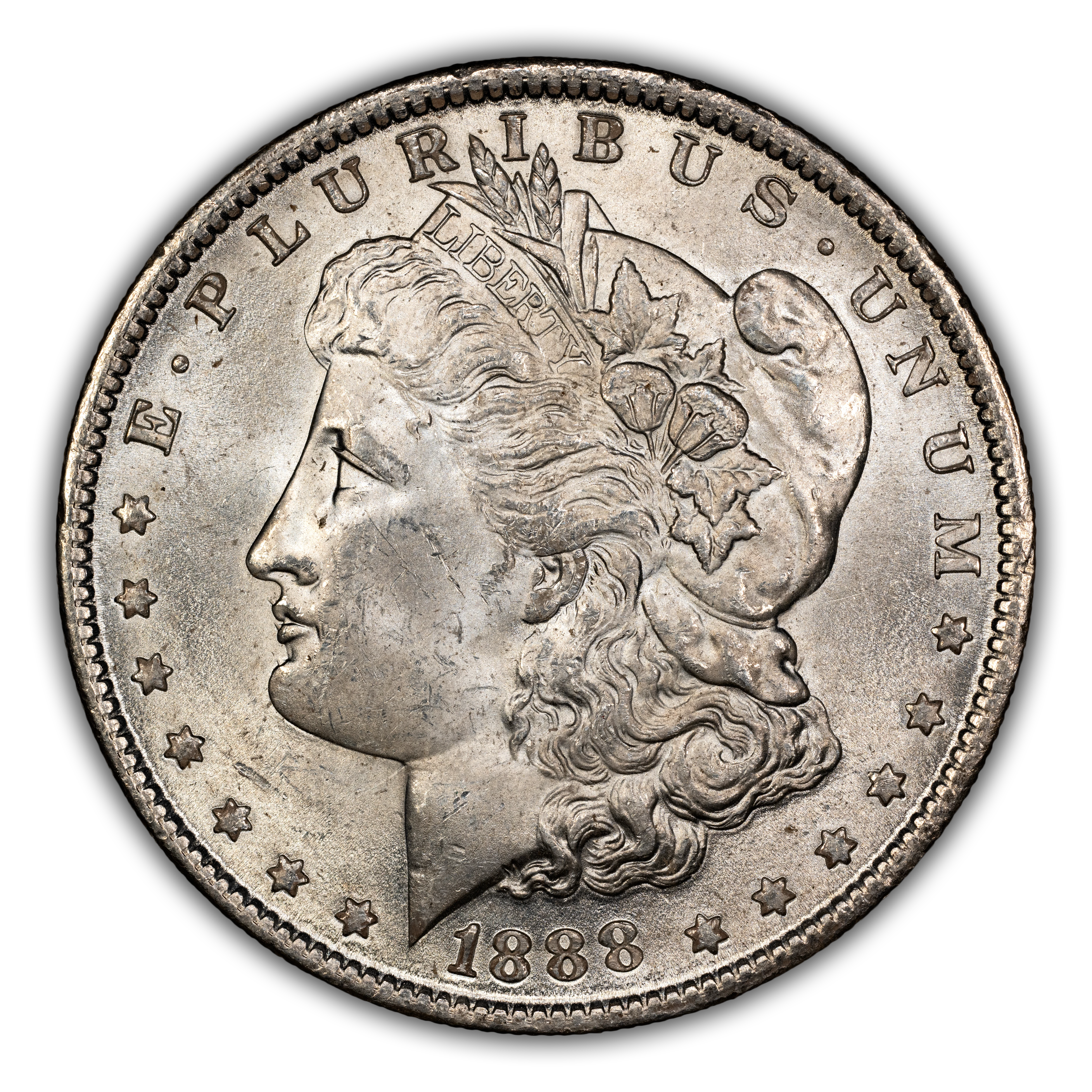 1888 $1 Doubled Ear, Clashed Obverse, VAM-11A MS