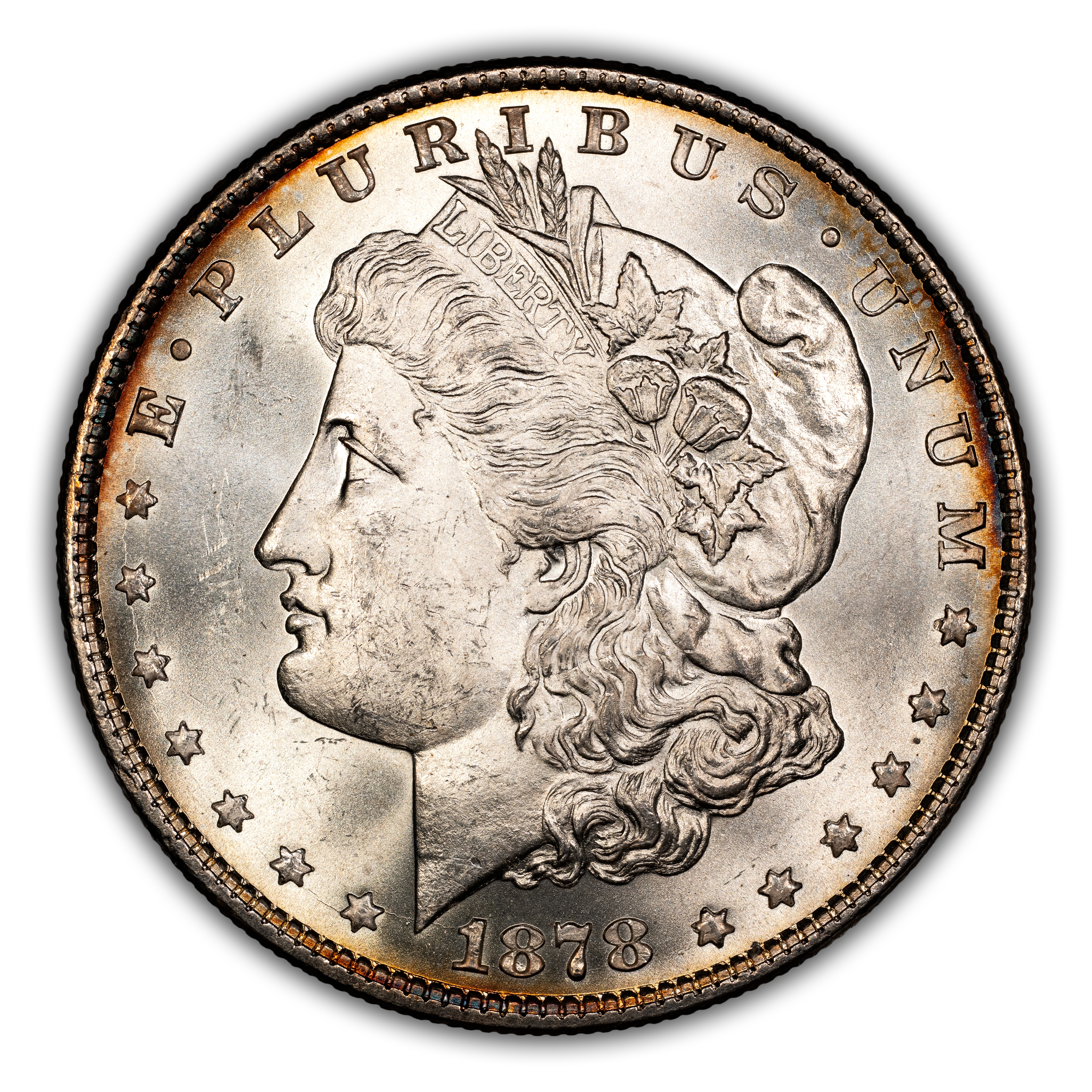 1878 8TF $1  Doubled Reverse, VAM-17 MS thumbnail 9