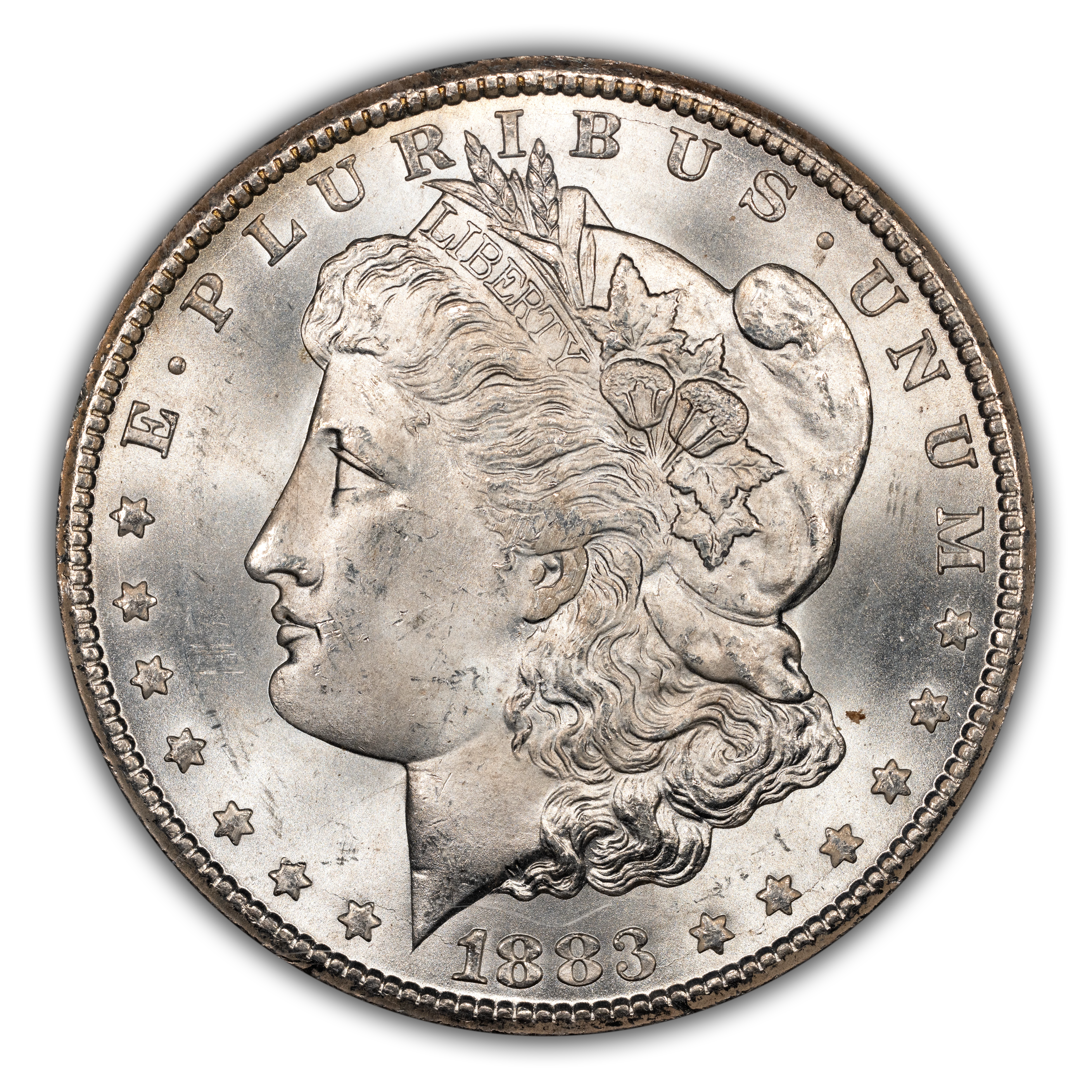 1883-CC $1  GSA Hoard, Hard package MS thumbnail 10