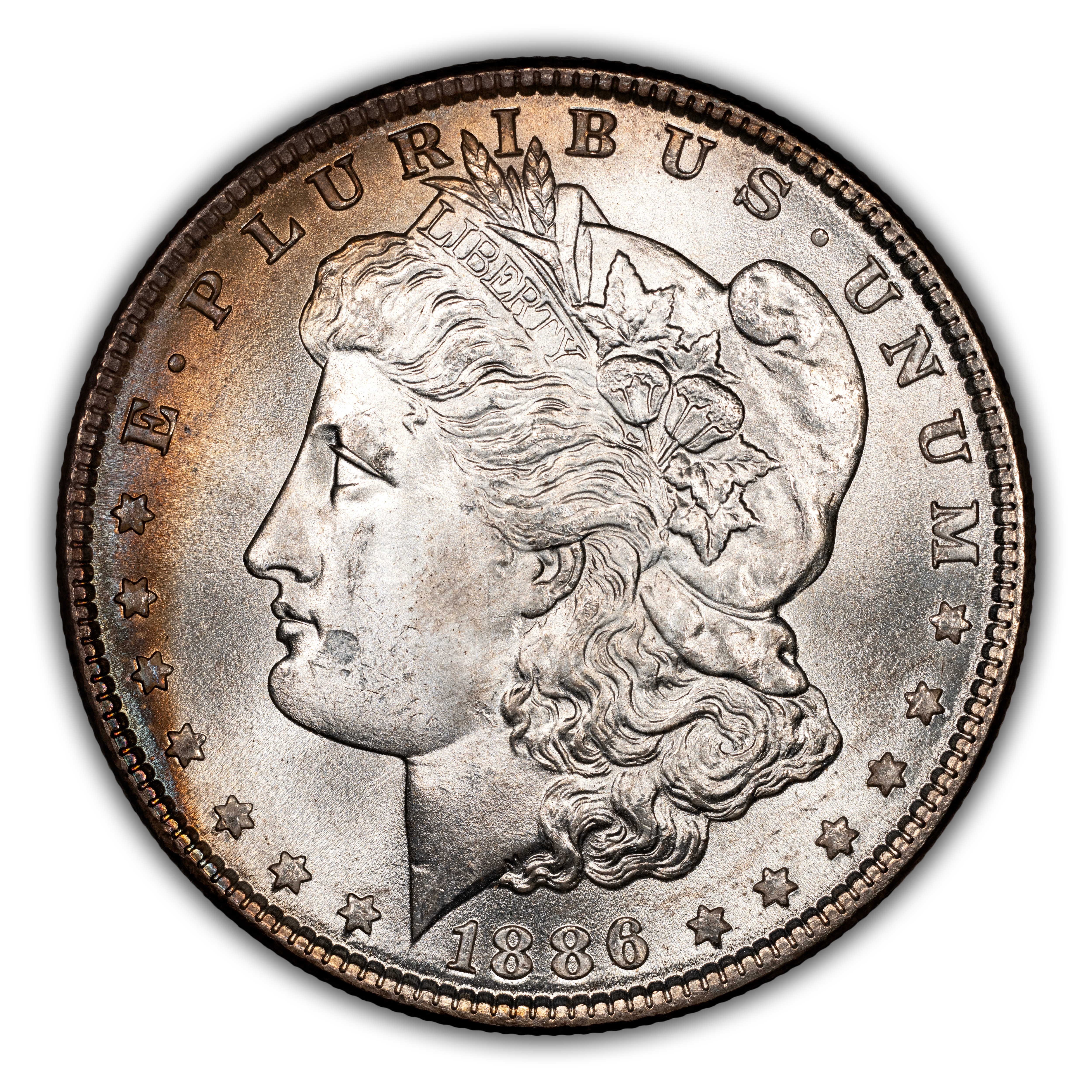 1886 $1  MS thumbnail 7