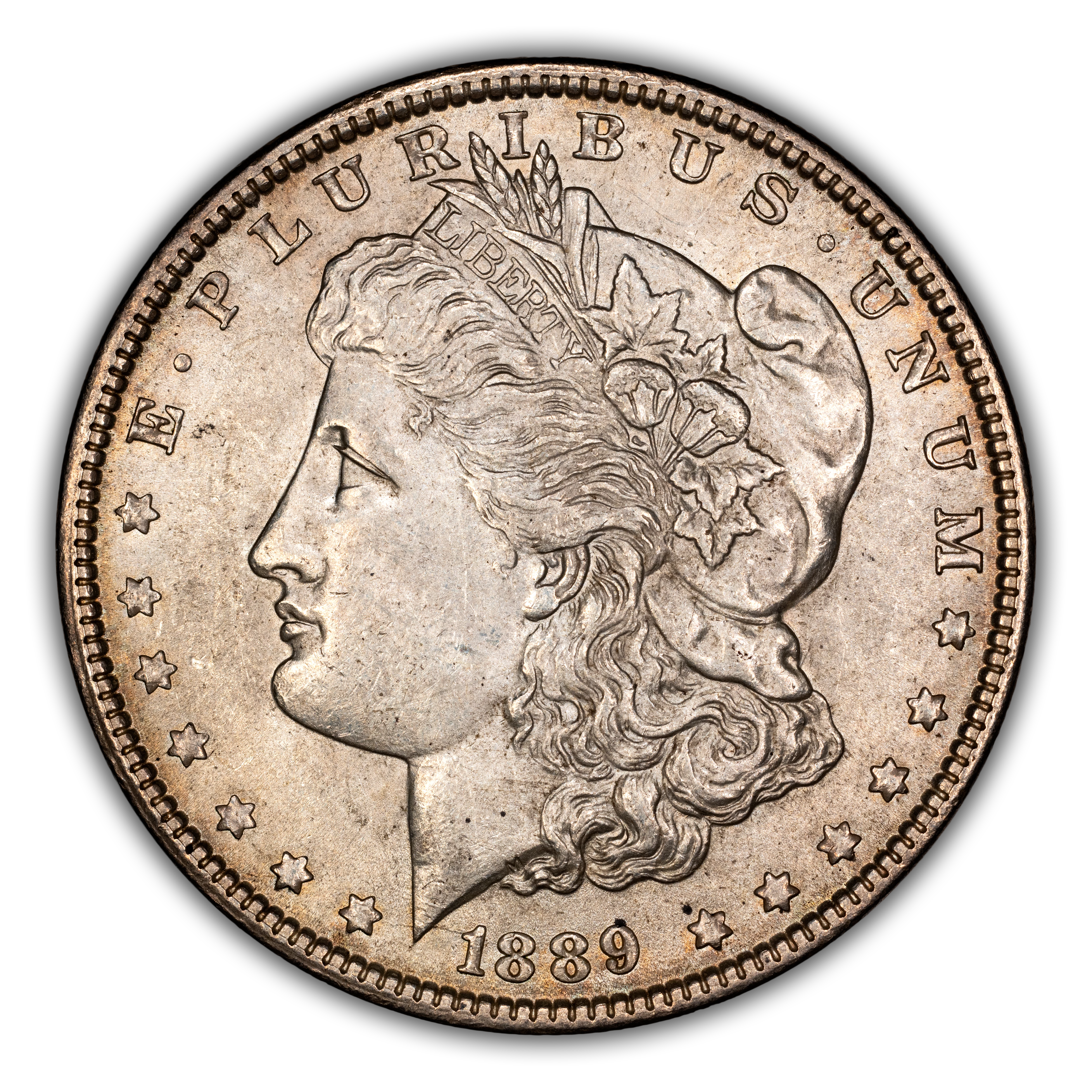 1889 $1  Bar Wing, VAM-19A  MS thumbnail 3